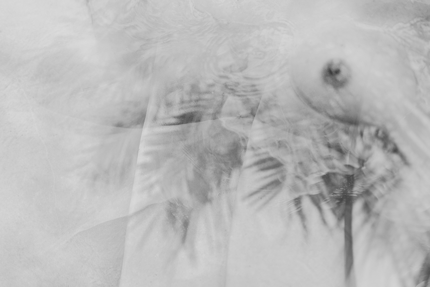 12.suzanne.ofeldt.nudes.wicp-1003.jpg