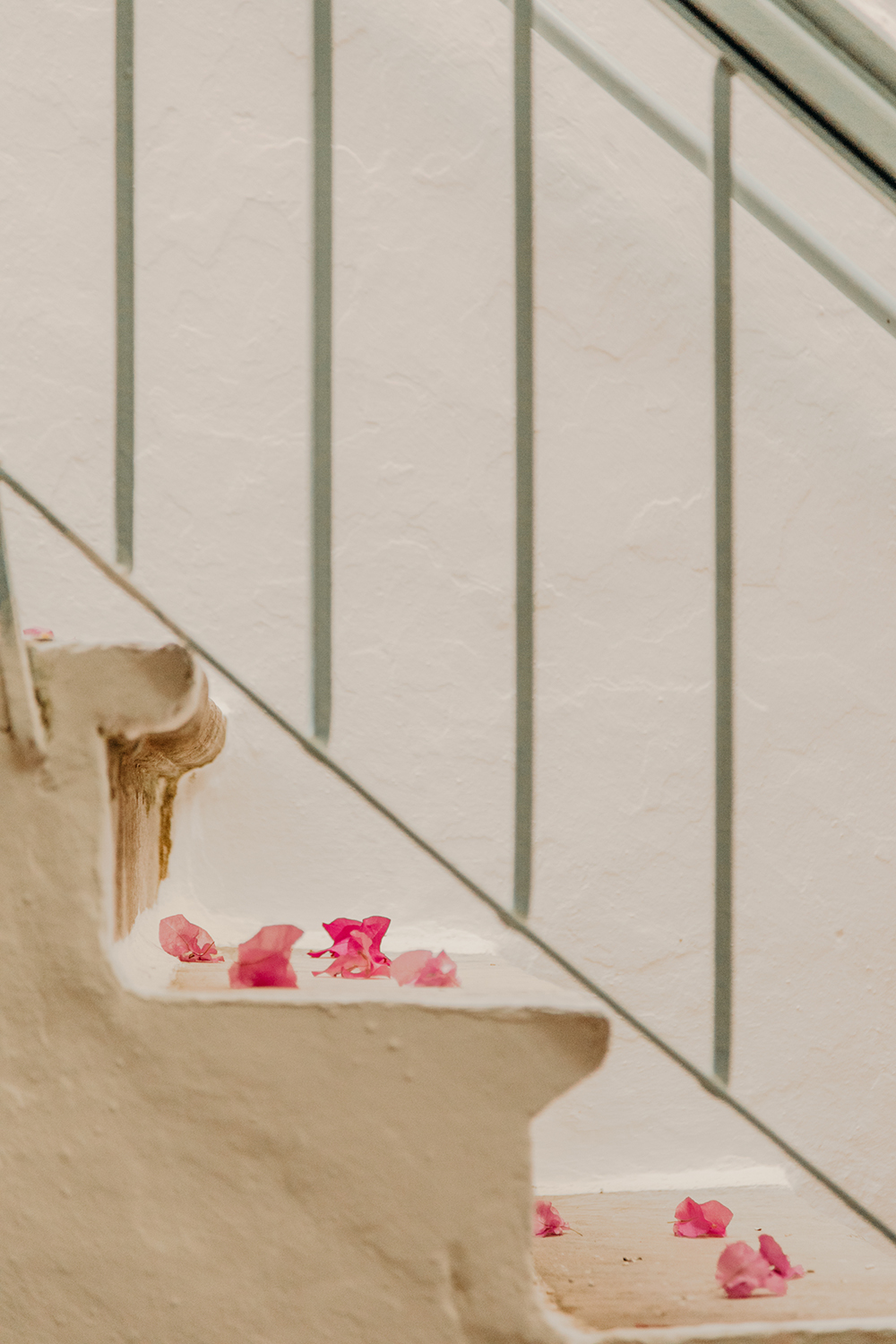 10011021shewanders.creativeclique.greece.jpg