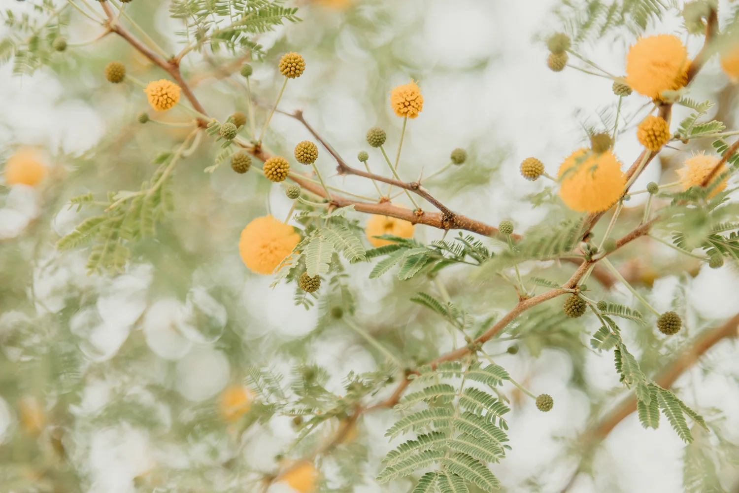 10061009shewanders.creativeclique.greece.jpg