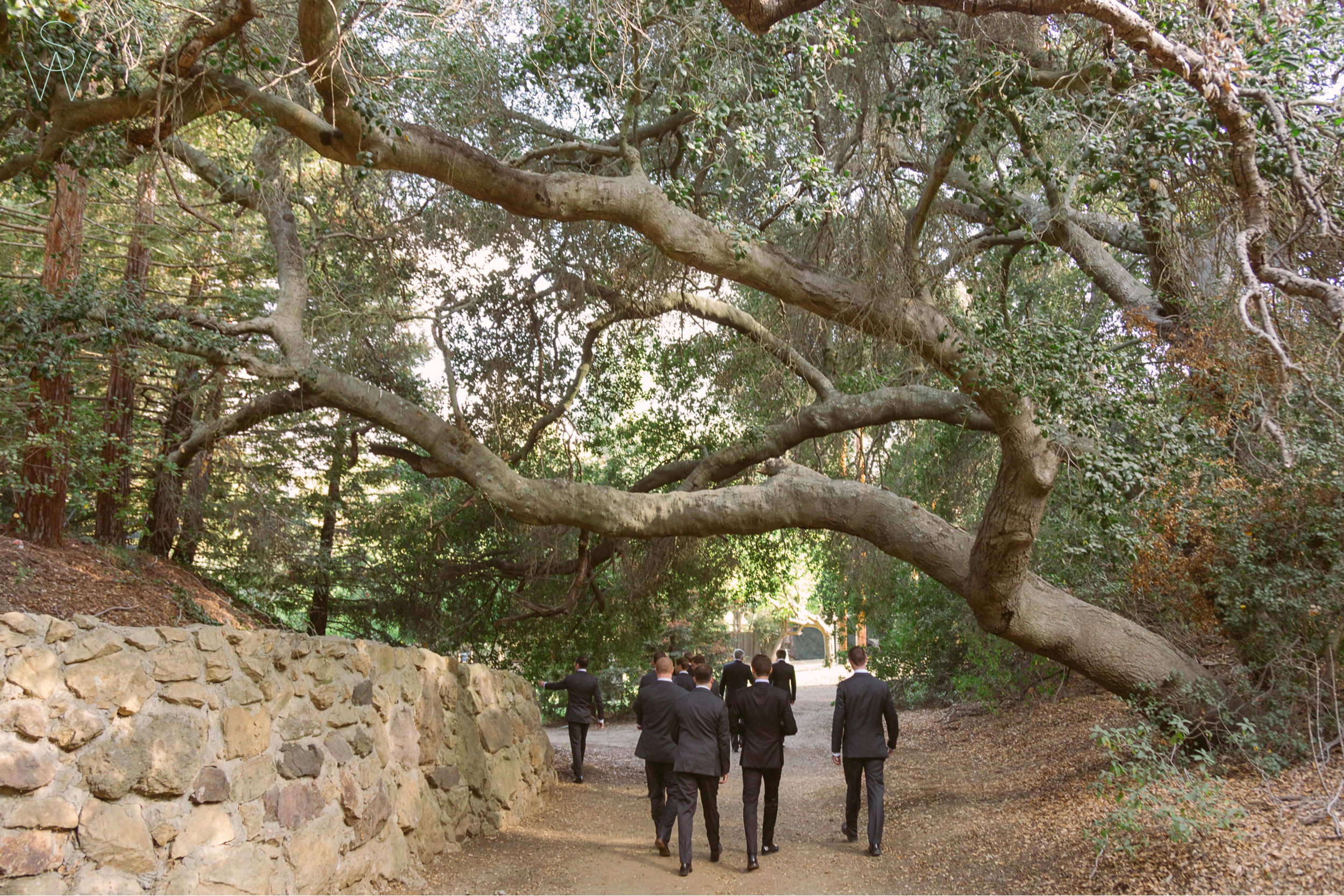 San Diego Wedding Photography Shewanders 