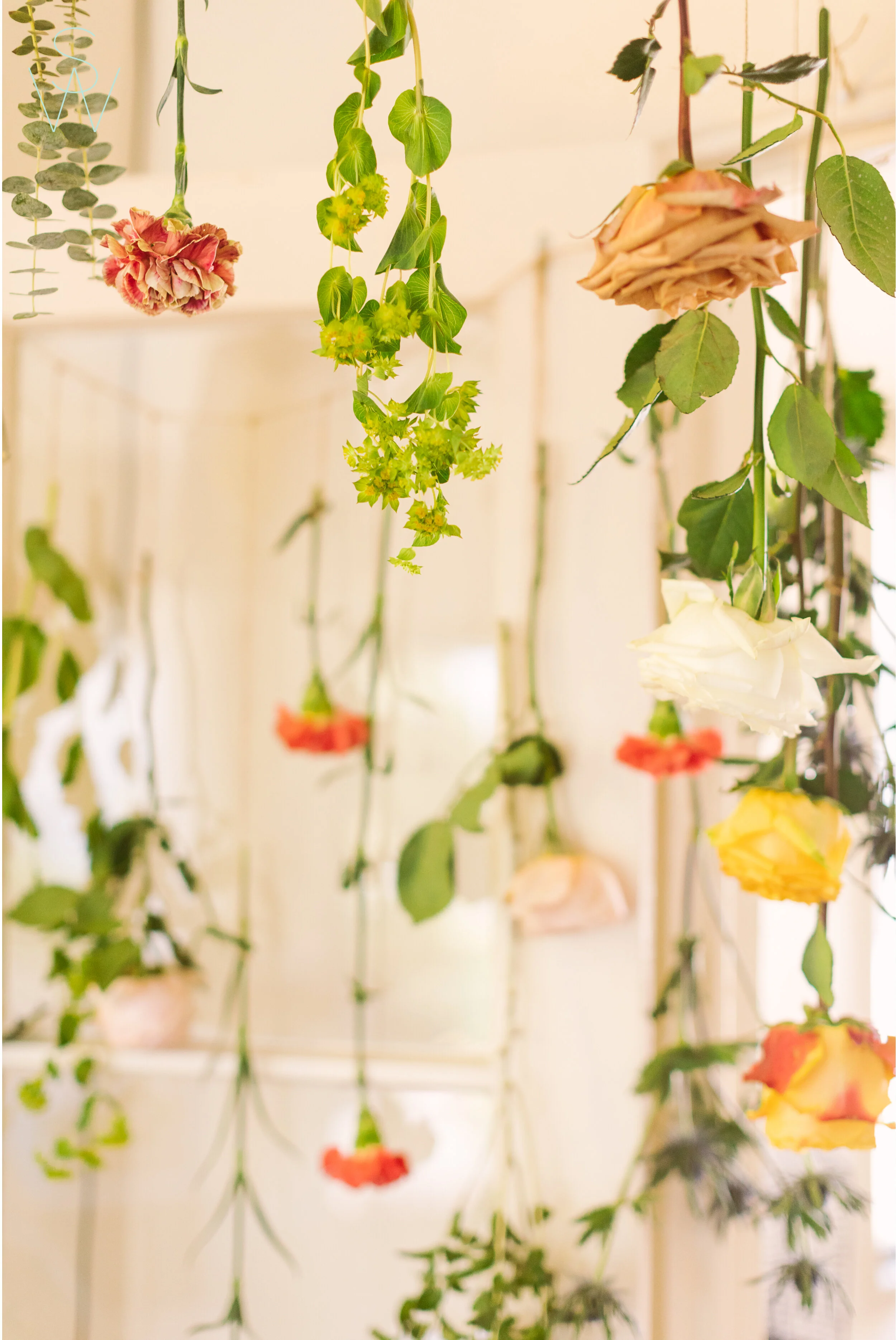 at.home.engagement.session.flowers.san.diego.shewanders.3a.jpg