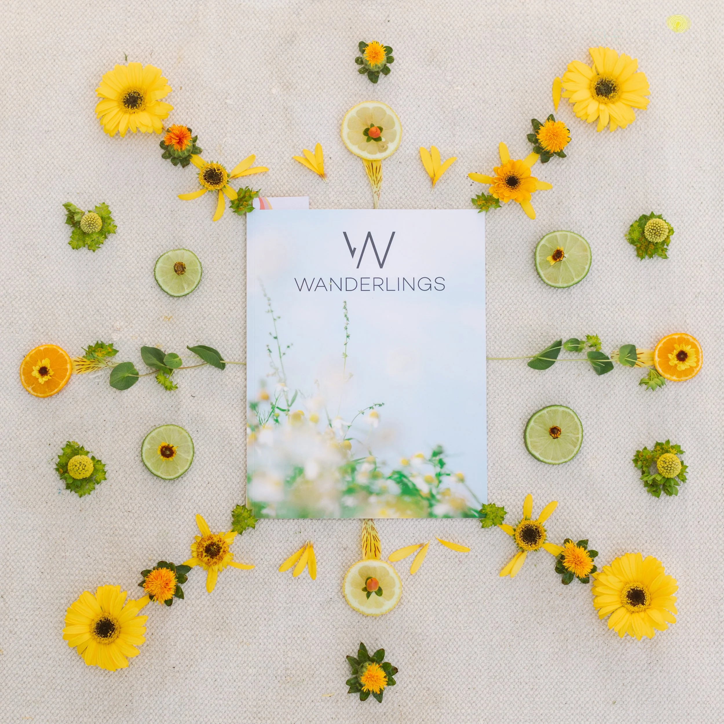 1562shewanders.loves.Wanderlings.Flowers.jpg