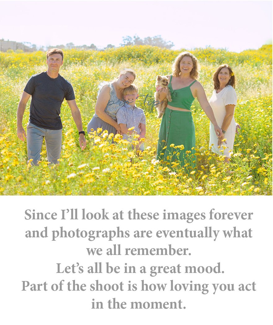 A6FLOWERFIELDS2.jpg