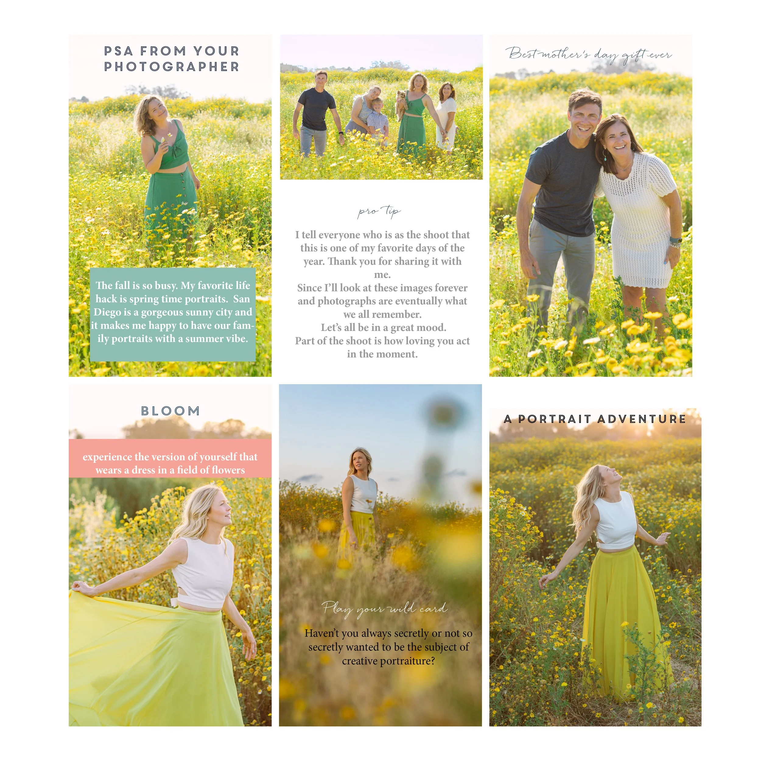 FLOWERFIELDS.jpg