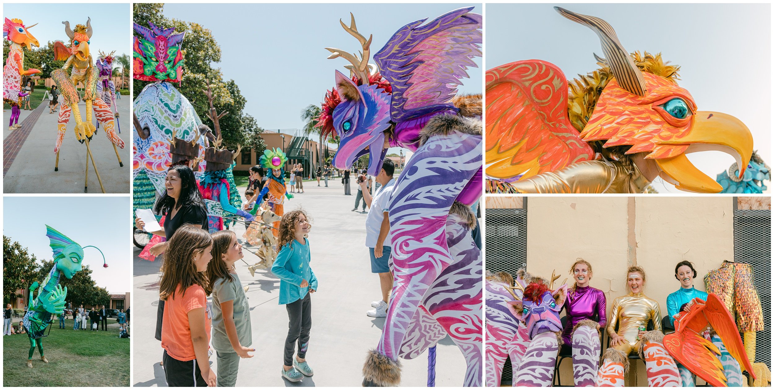 1132Shewanders.WowFestival-2A.jpg