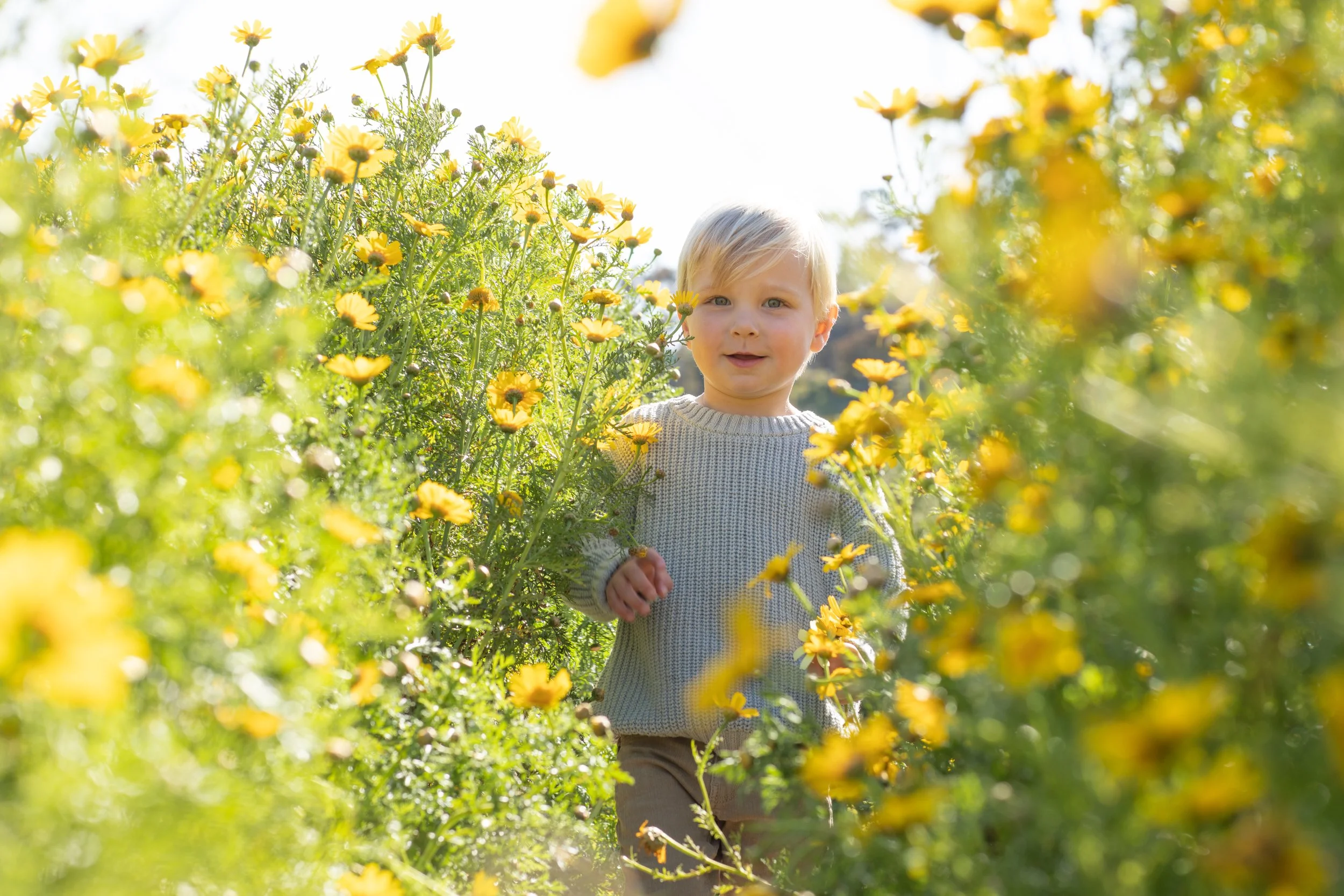 SuperBloom.Laura.AndrewFamily.shewanders.photography.-3129.jpg