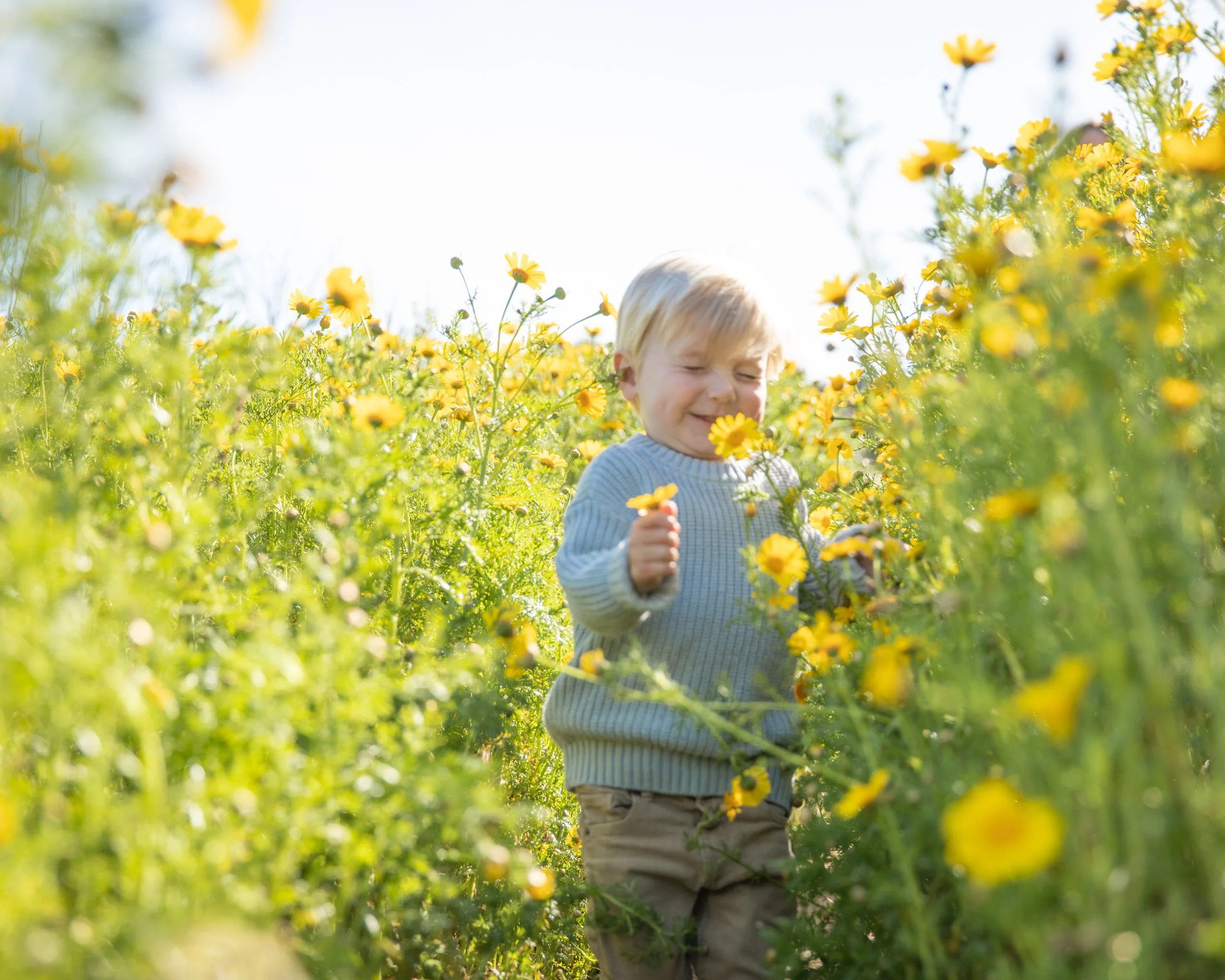 SuperBloom.Laura.AndrewFamily.shewanders.photography.-3155.jpg