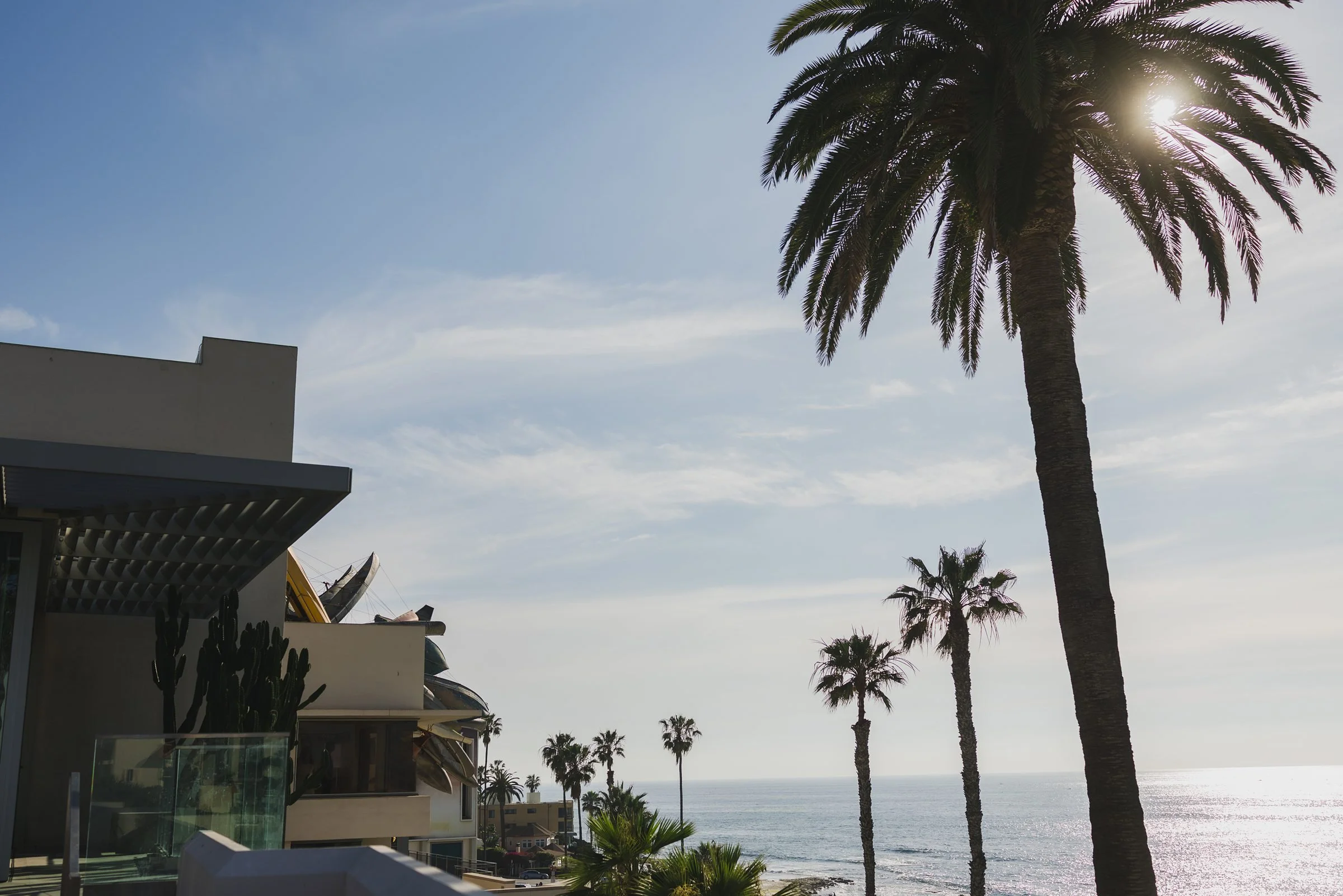 medium photofestival at MCAS17.jpg