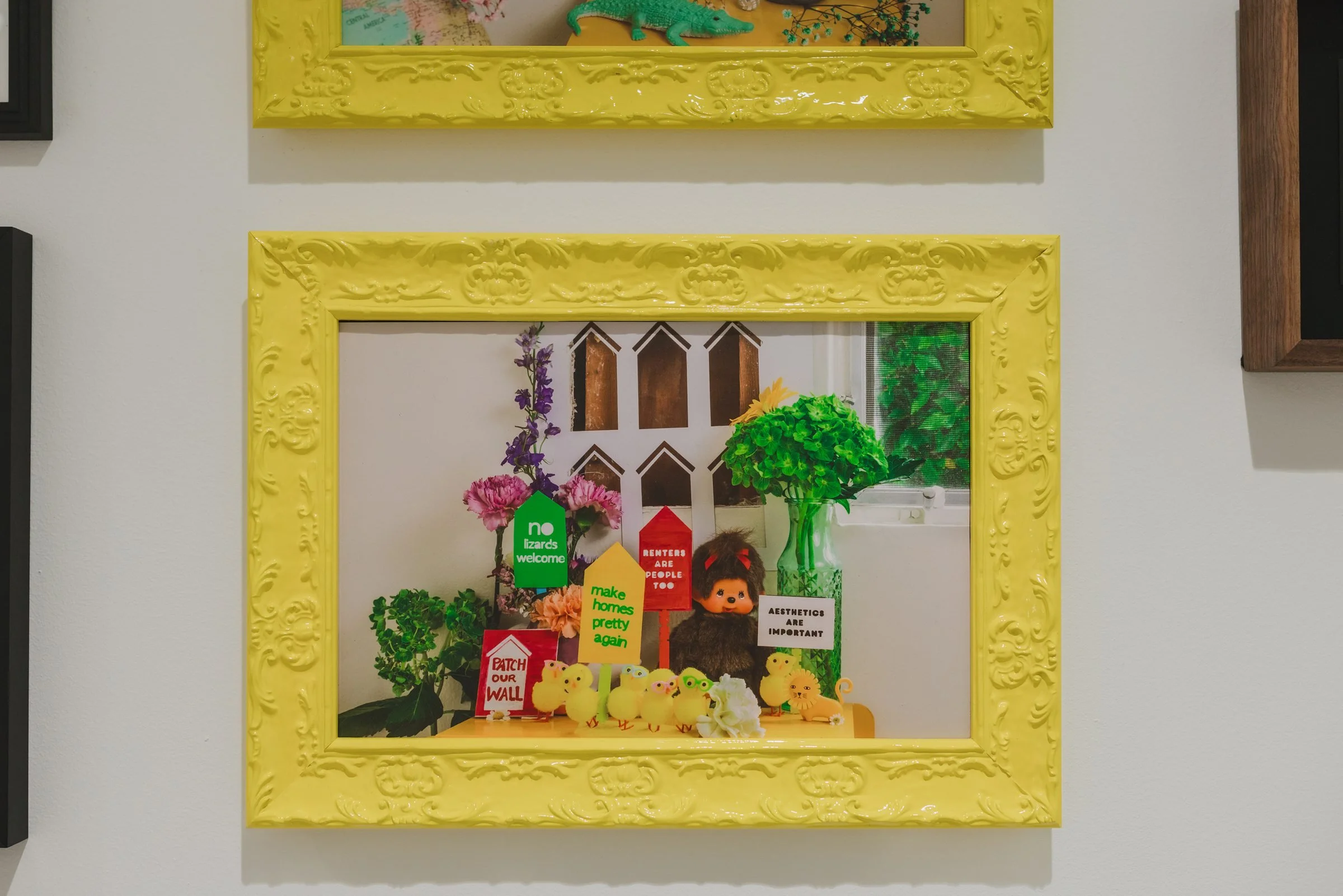 medium photofestival at MCAS12.jpg