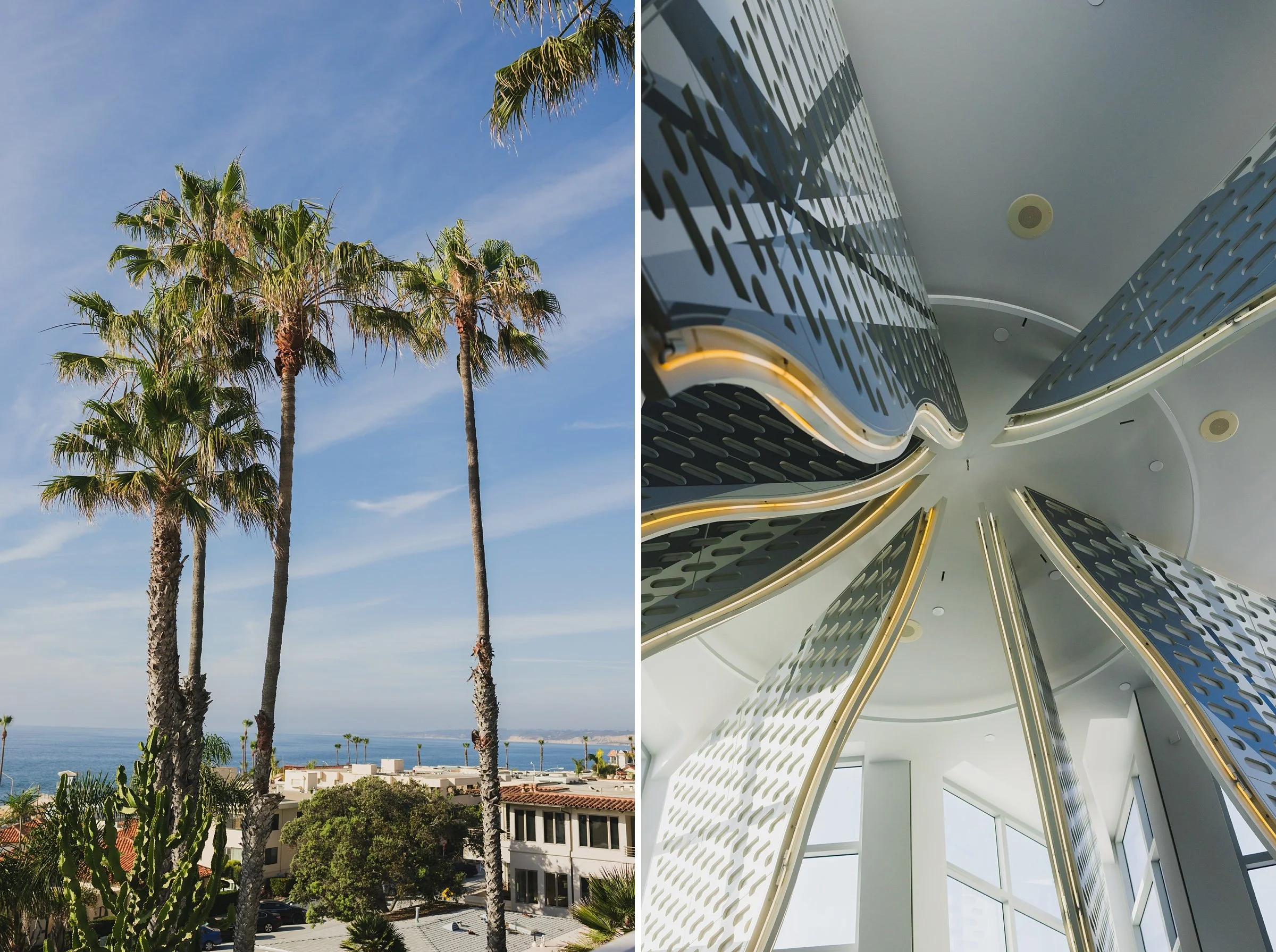 medium photofestival at MCAS30.jpg