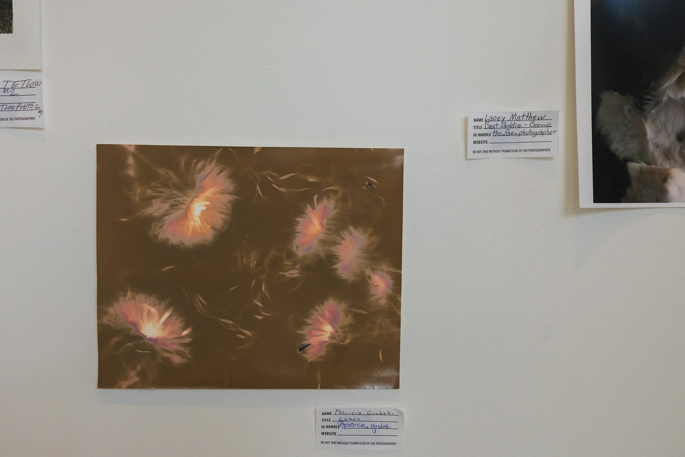 medium photofestival at MCAS51.jpg