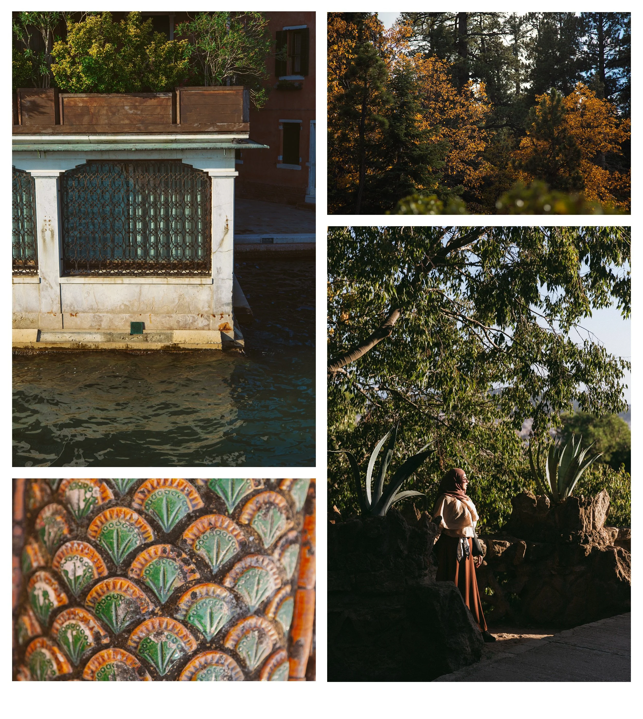 1142.color.finding.shewanders.suzanne.ofeldtvenice.italy copy.jpg