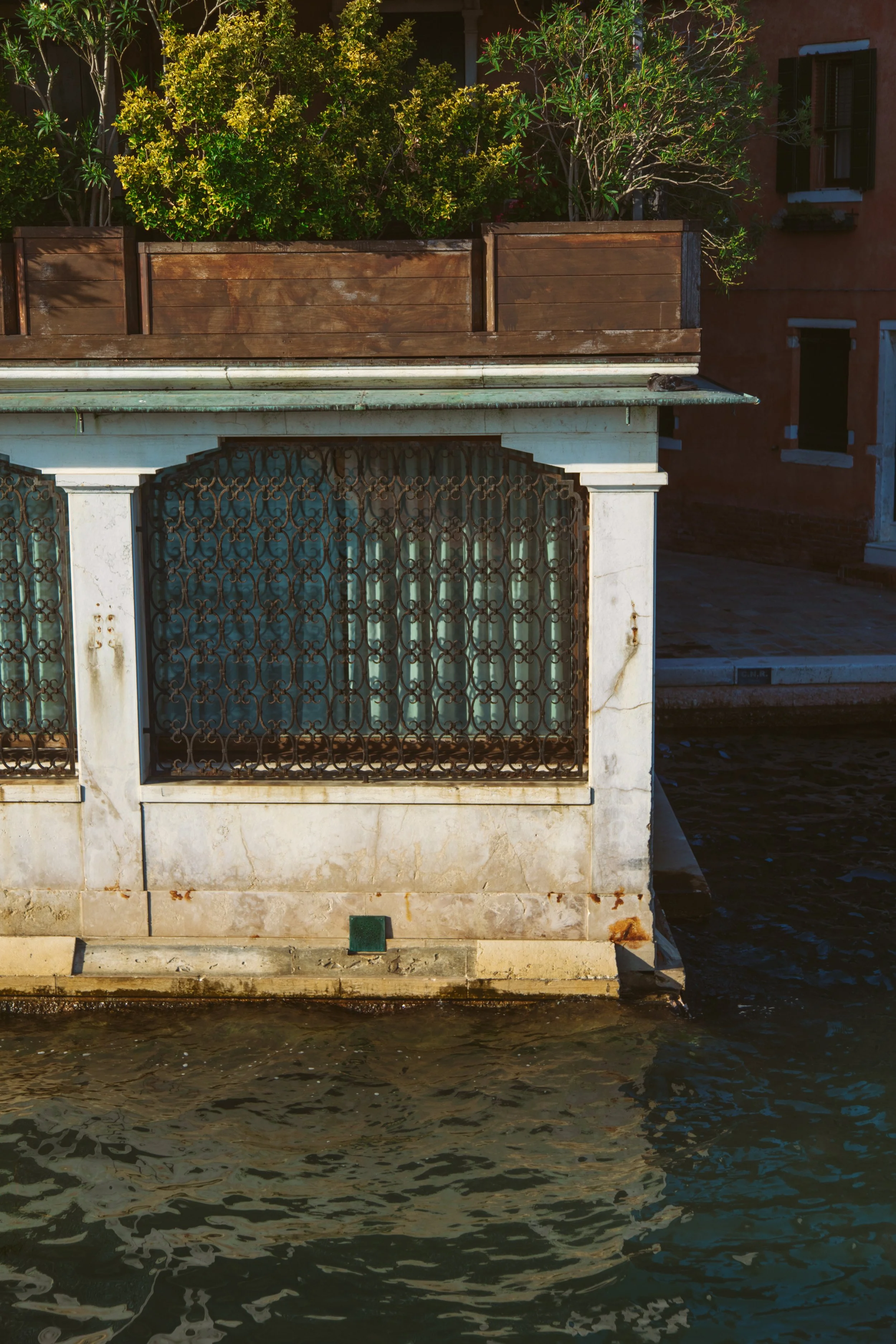 1142.color.finding.shewanders.suzanne.ofeldtvenice.italy.JPG