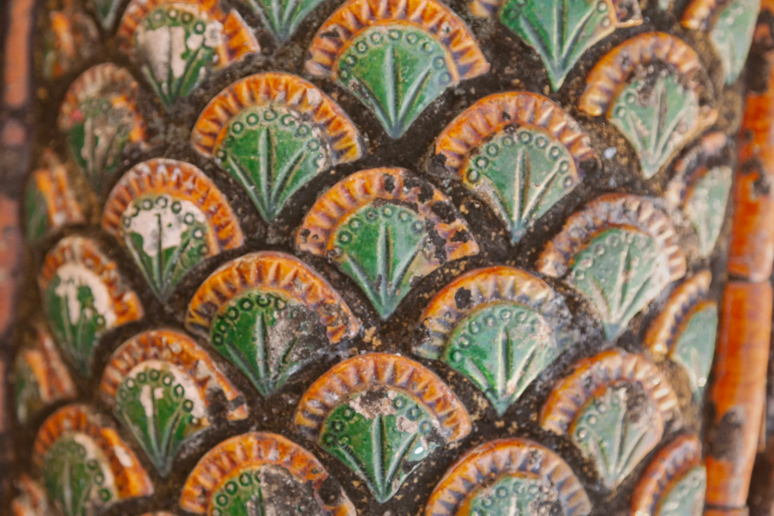 1149.color.finding.shewanders.suzanne.ofeldtthailand.JPG