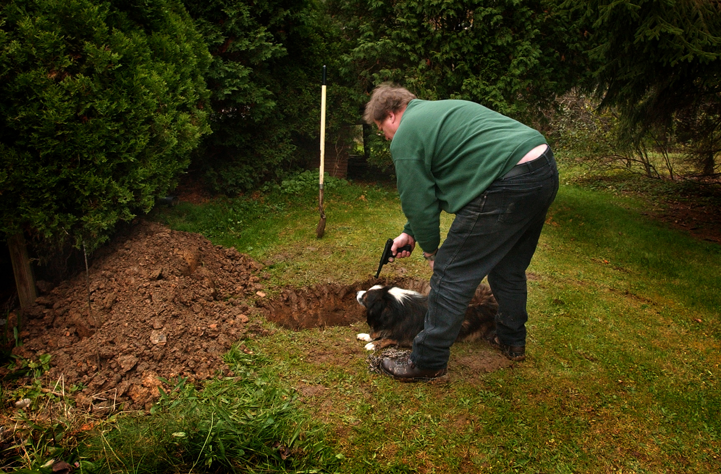 A man shoots his dog, Pooh Bear, a family pet for eight years, near a small grave he dug just moments before in the families back yard. A rabid skunk bit the dog earlier in the morning. The man didn't have the money to care for the dog and had to make the difficult decision to euthanize it himself.