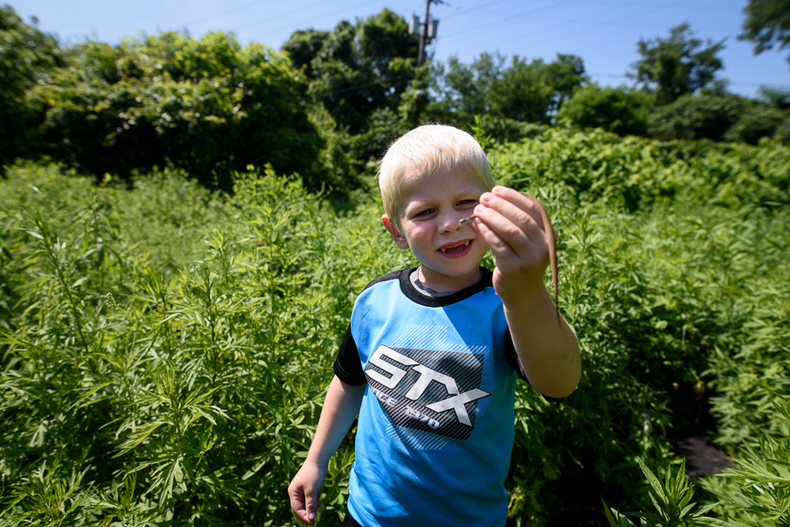  Cameron Gorman, 3, holds a snake he found on a  vacant lot next to his great-grandmother's house on June 10, 2017. 