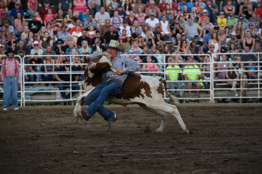  A cowboy battles a steer in the steer wrestling competition at the Fort Armstrong Championship Rodeo on Friday, July 13, 2018 at the Crooked Creek Horse Park in Ford City, Pa. 