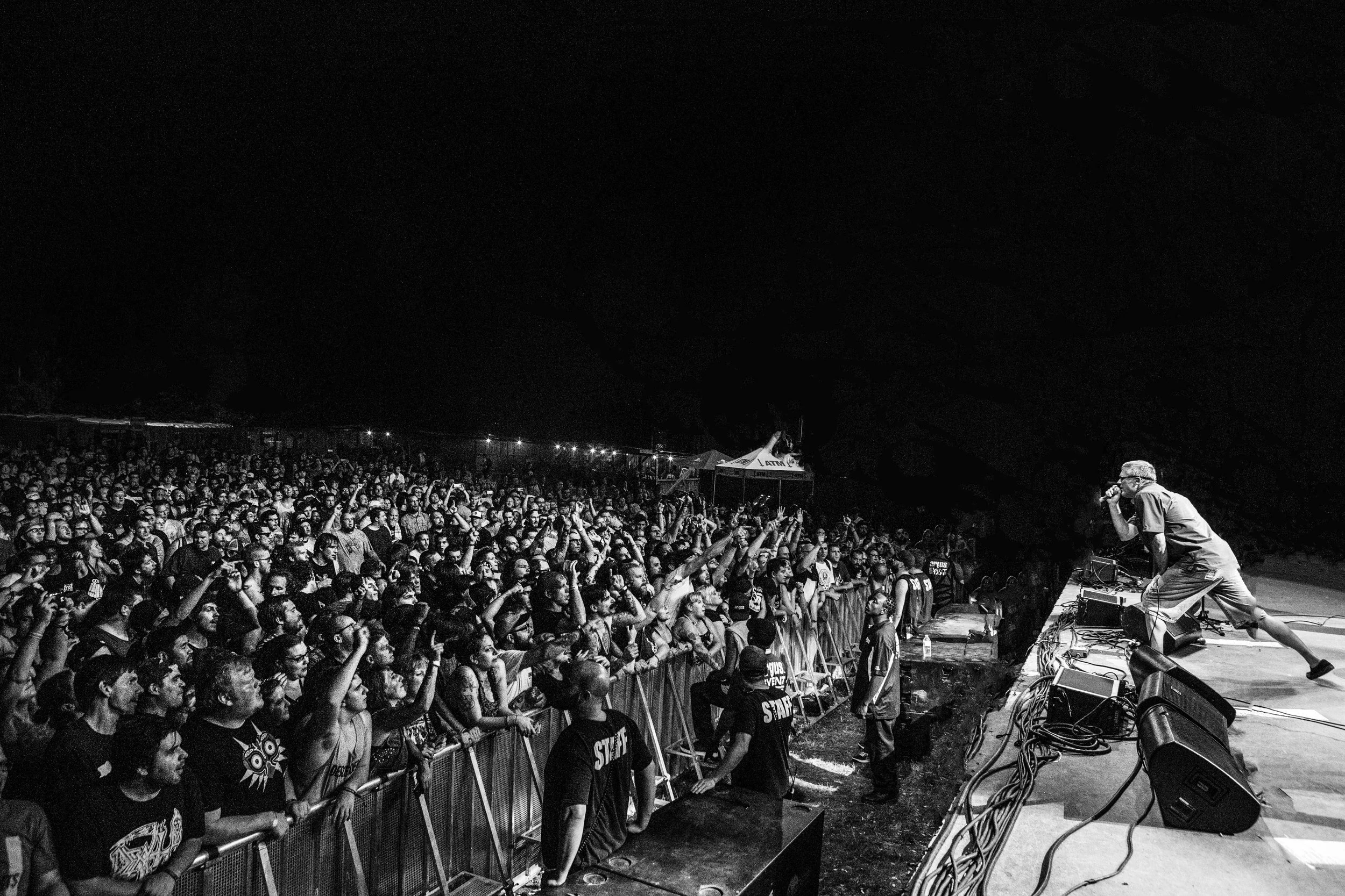 Descendents 2016 Credit Elena de Soto.jpg