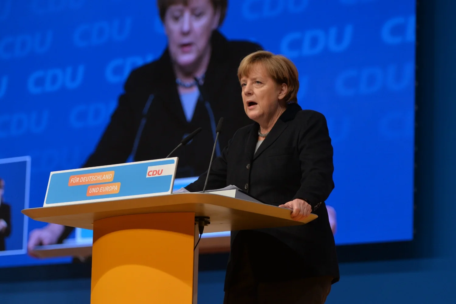 Merkel CDU.jpg