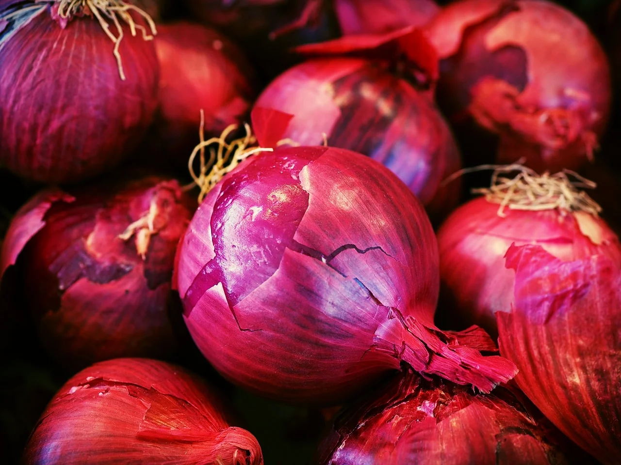 Colour Blind: Blue Onions