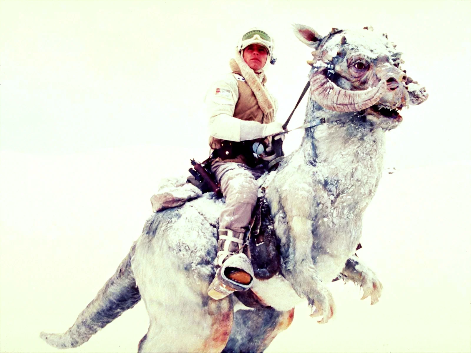 Is That a Tauntaun? How Germany Survives the Snow
