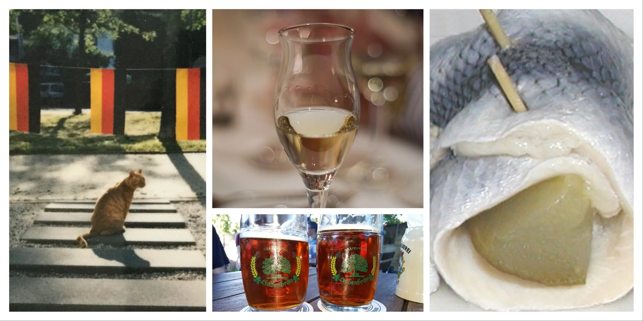 German Hangover cures – Fighting the Cat