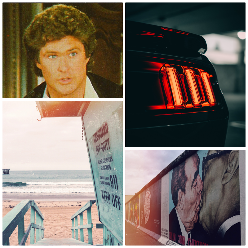 Getting the Hoff