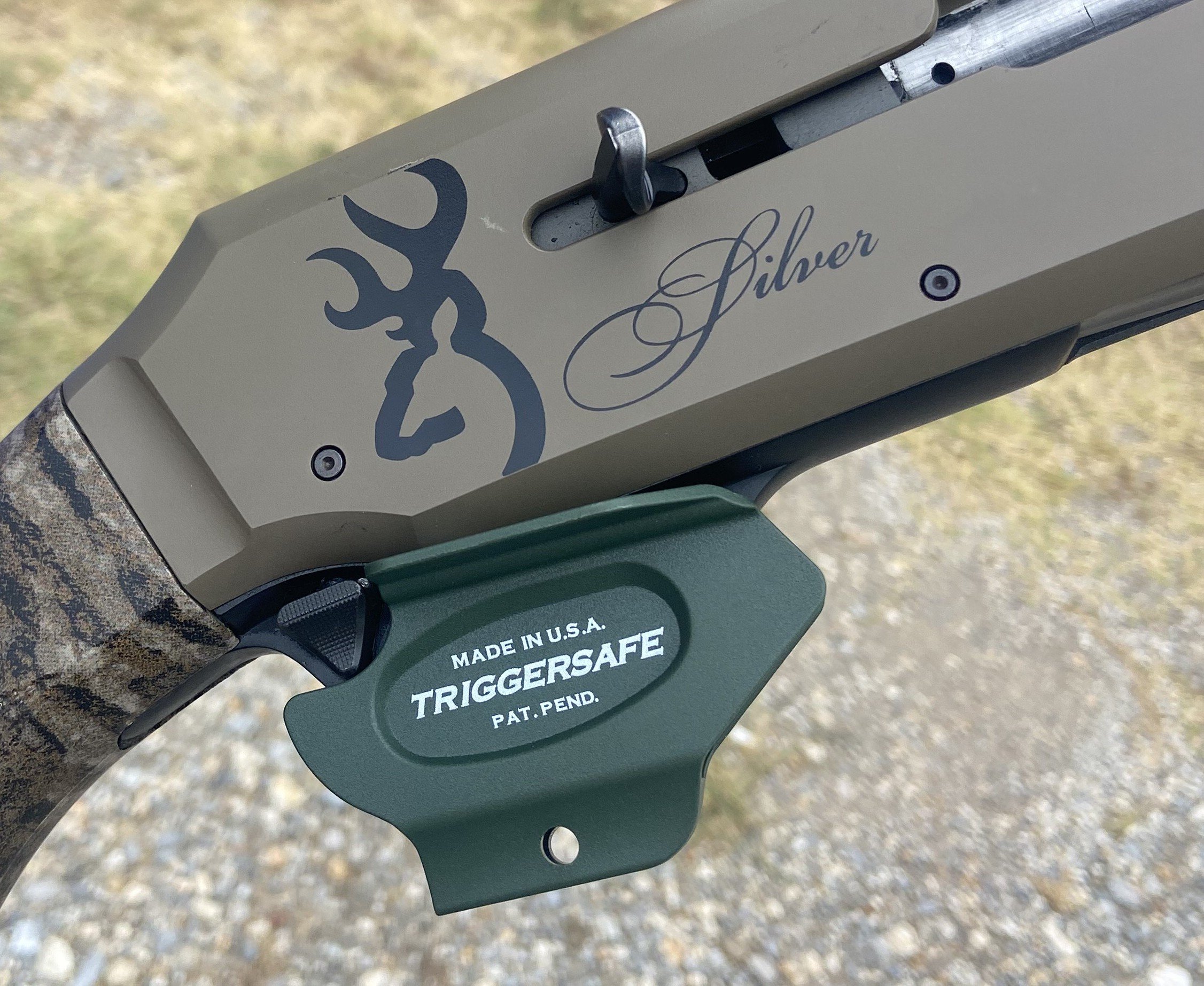 Browning Silver 2.jpeg