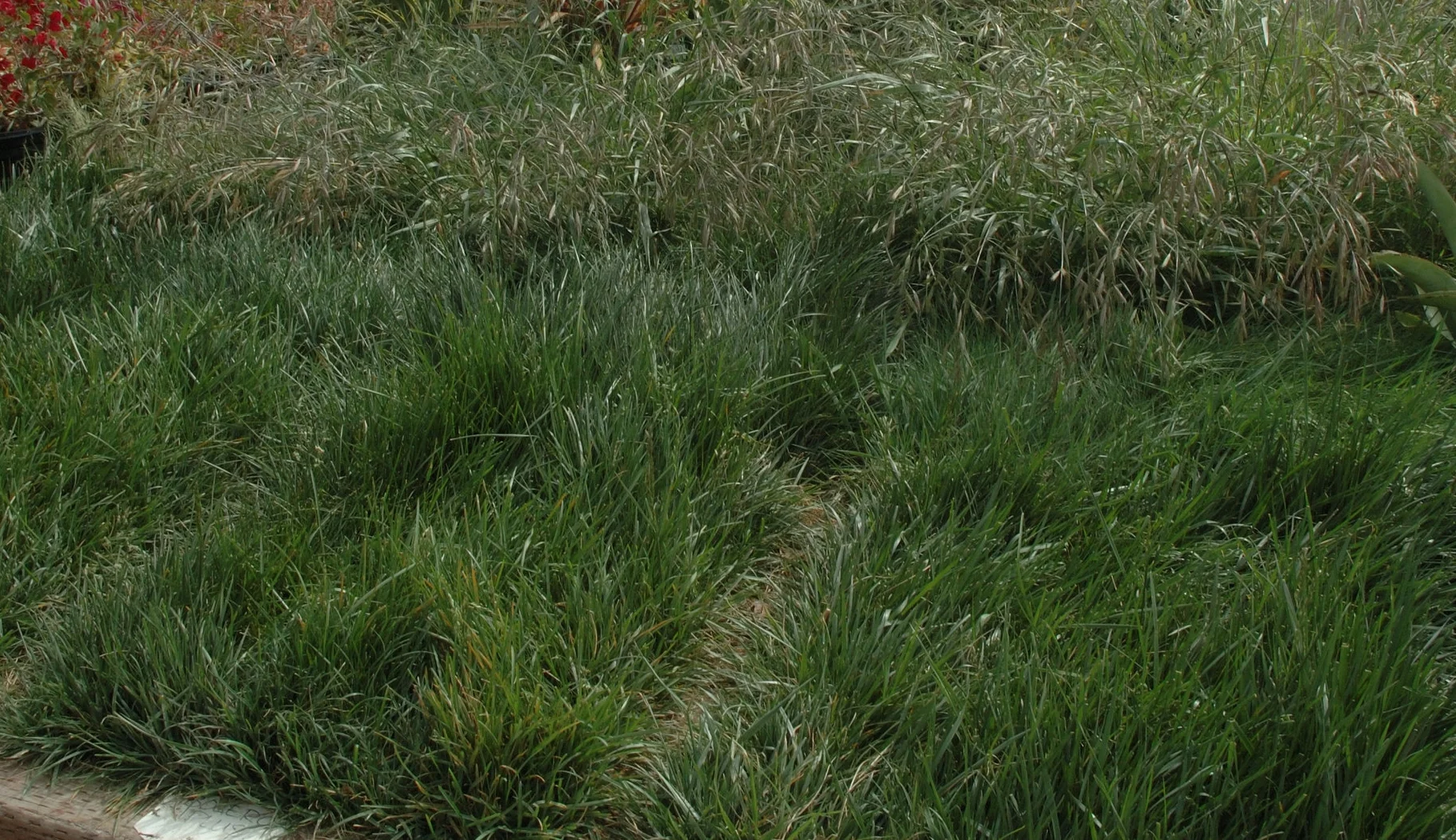 DSC_5023.jpg