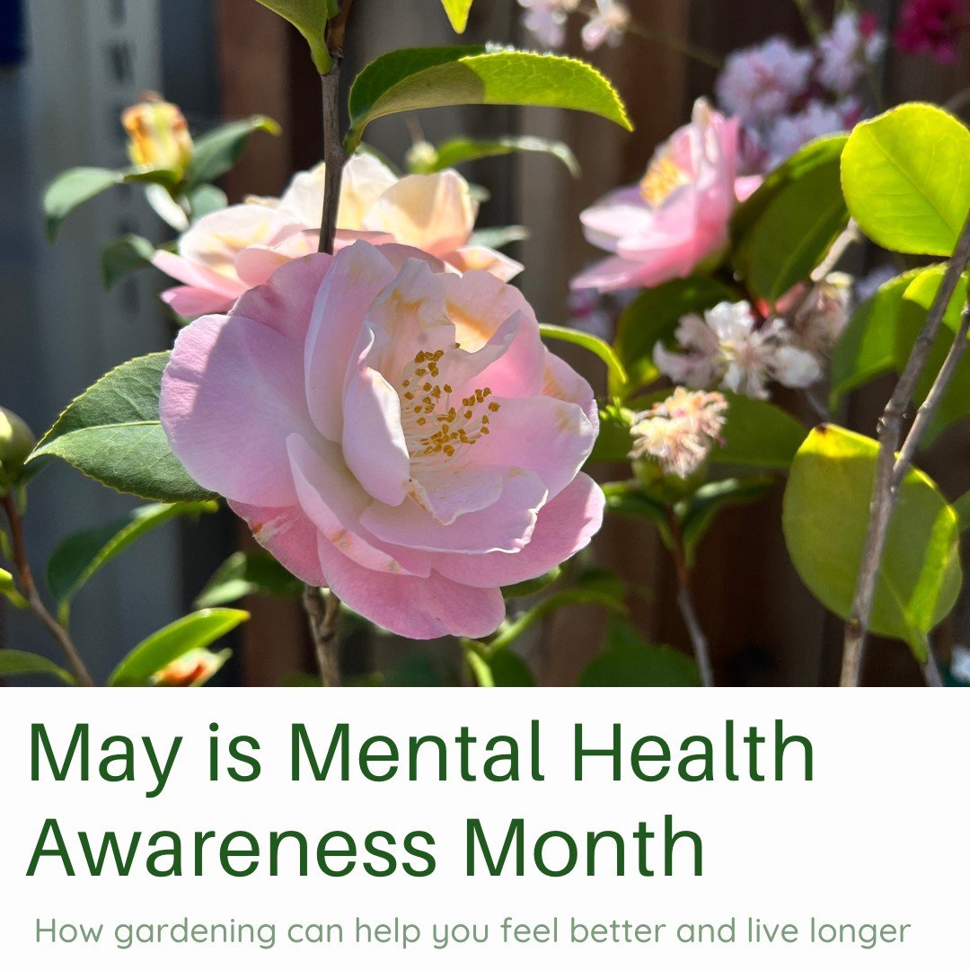 May is mental health awareness month, and what better time than the beginning of peak gardening season? 🌸  Here are some of the many mental health benefits of planting and growing your own flowers, fruits, and vegetables:

👟 Exercise: Time in the g