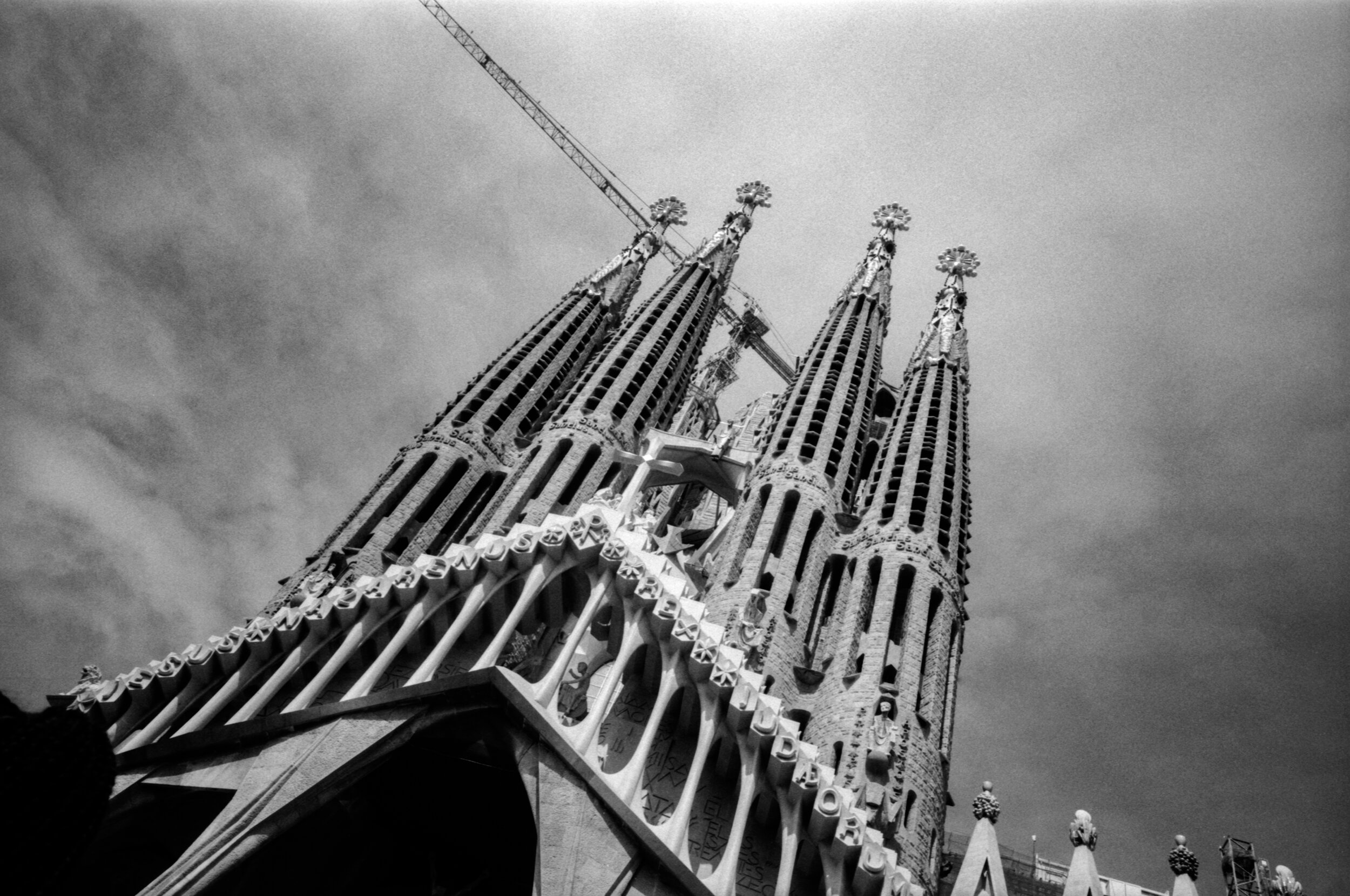 07102021-Août 2021-Ricoh-GR-Agfa-APX-100- 22a-2 basse def.jpg