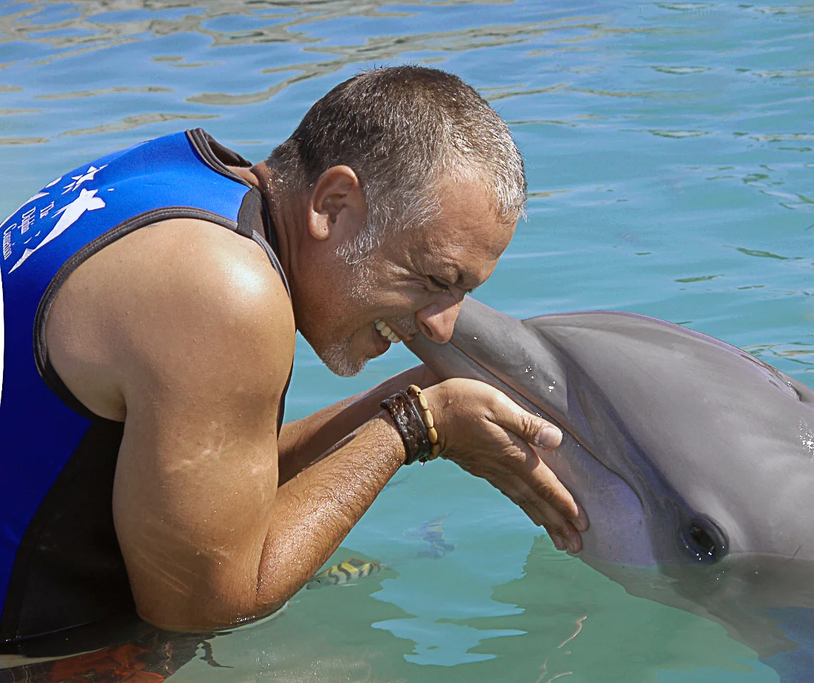 micha-delfin.jpg