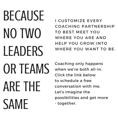 leadership_coach_support.png