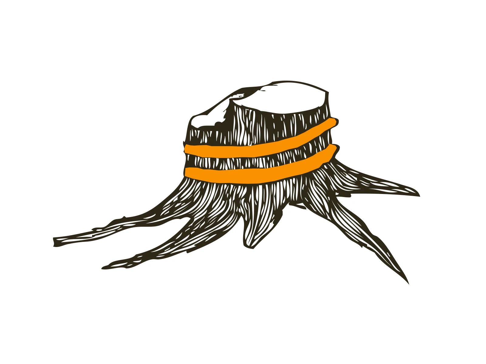 ktlbwstump.jpg