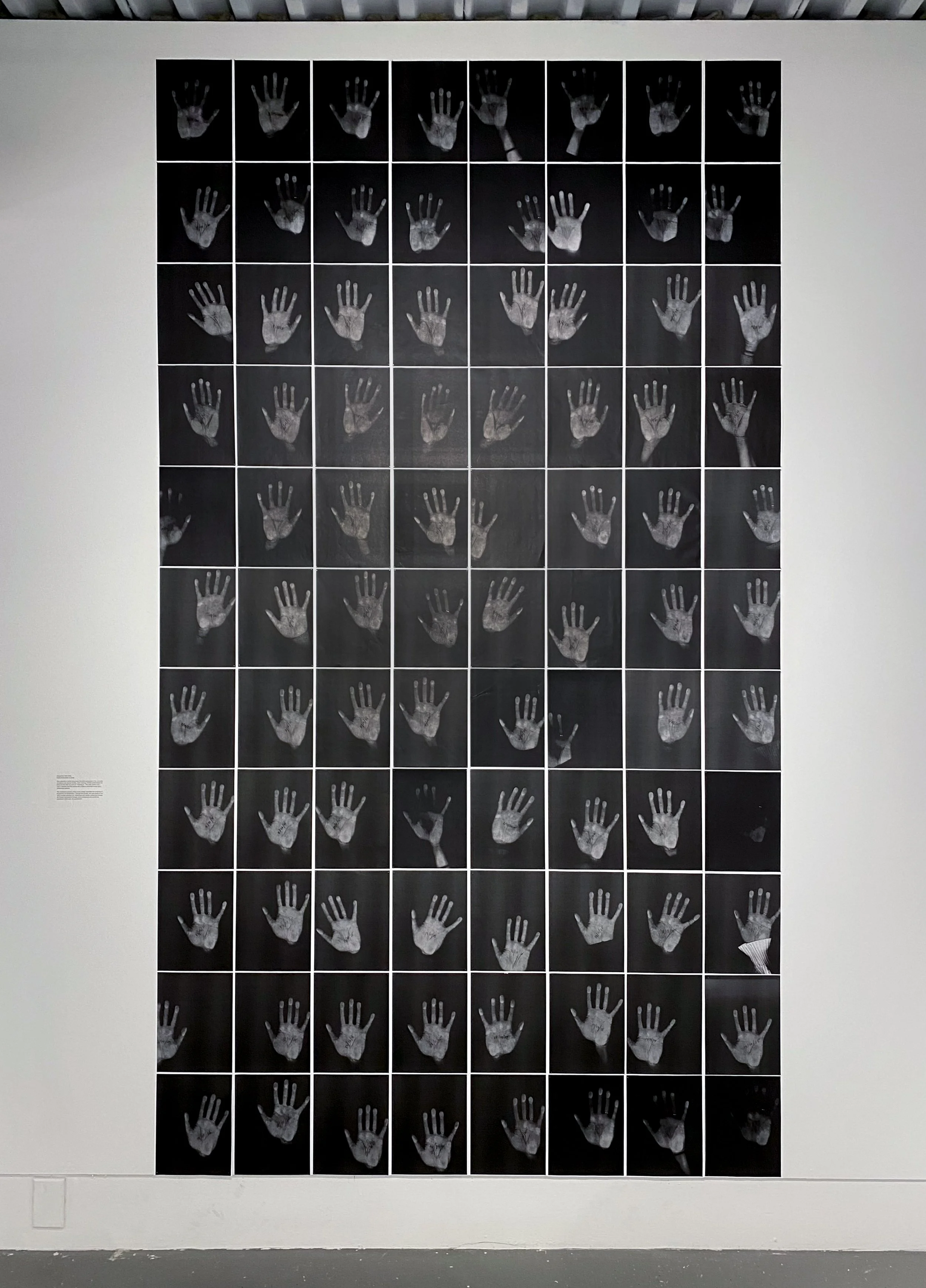 New_C_Count is Correct-01.jpg