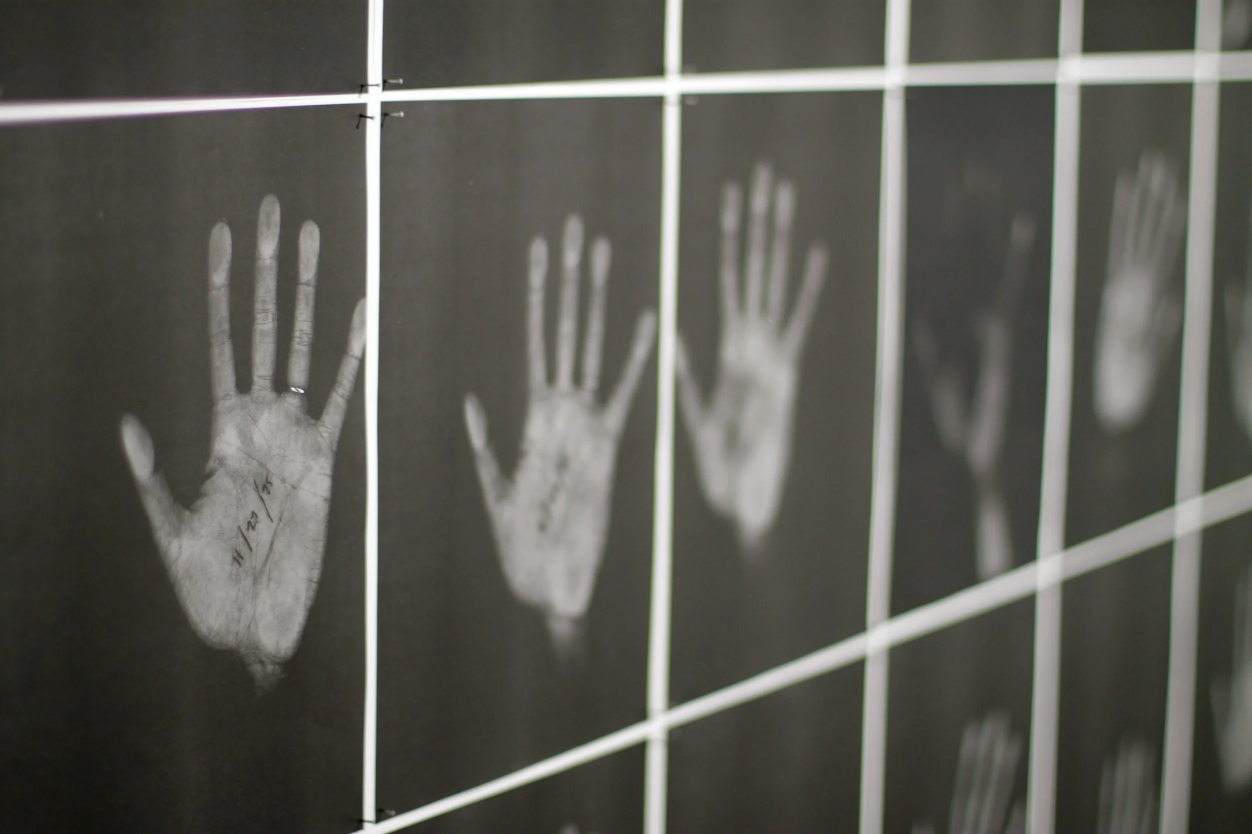 New_C_Count is Correct-04.jpg