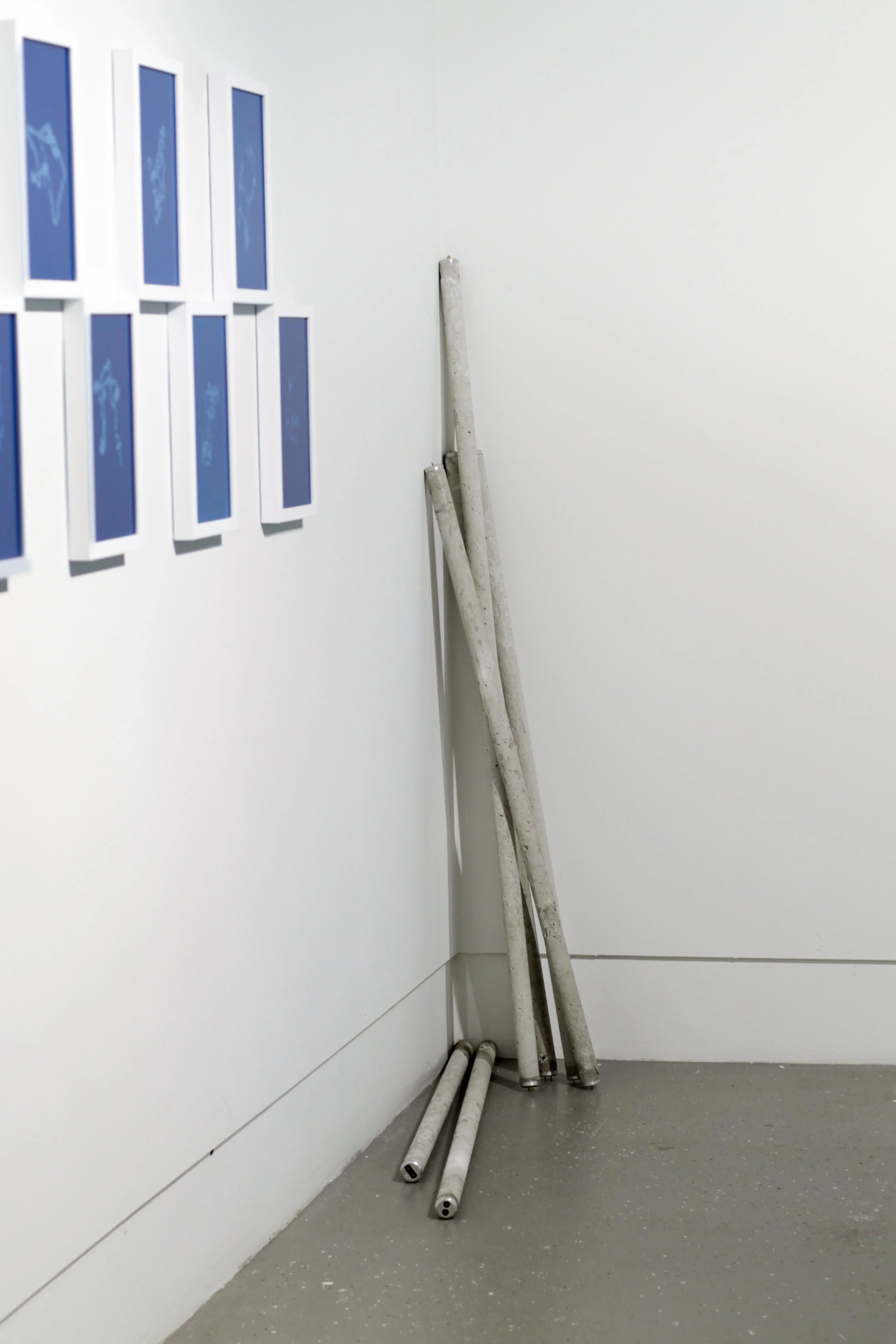 New_C_Count is Correct-14.jpg