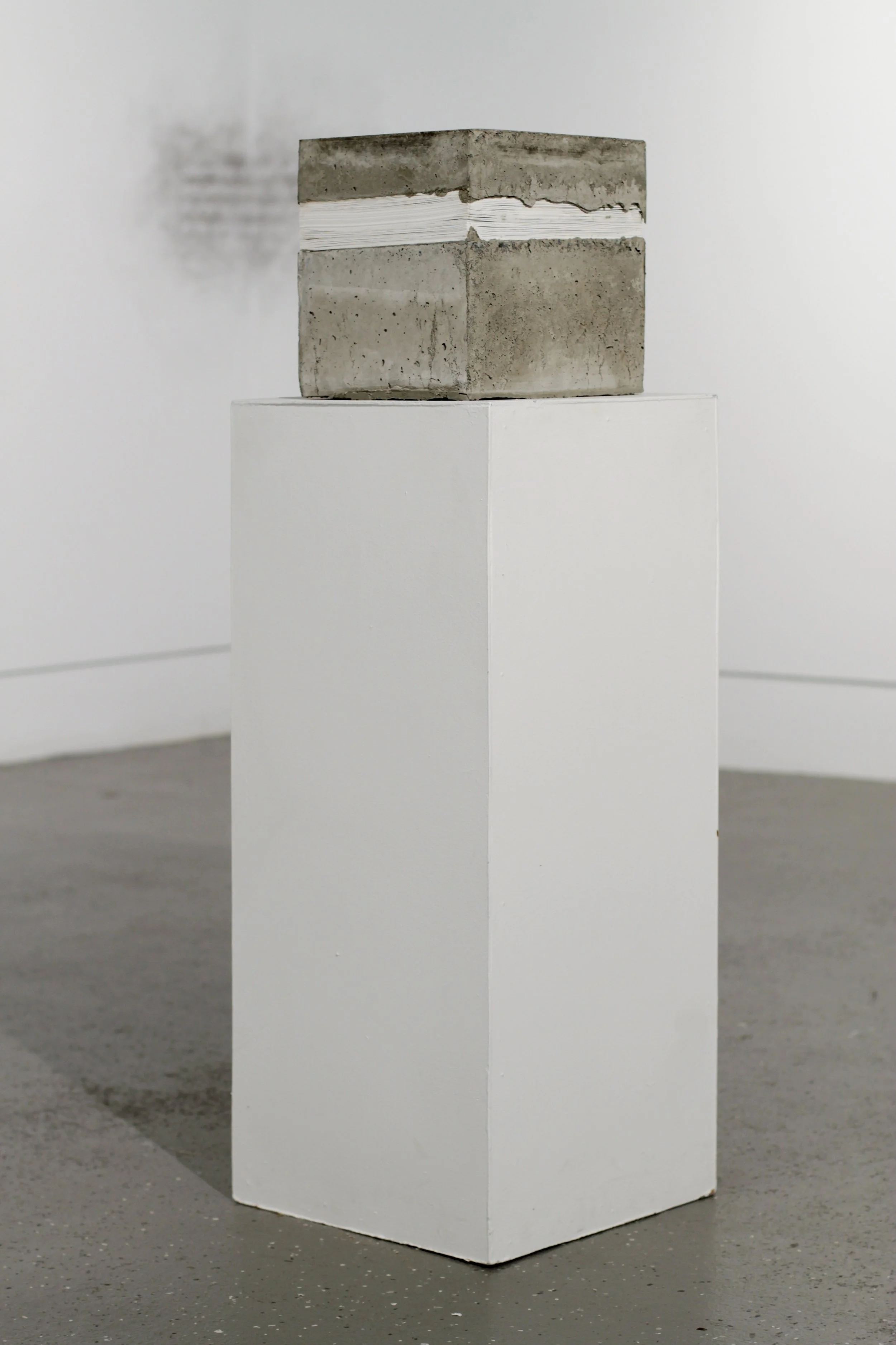 New_C_Count is Correct-15.jpg