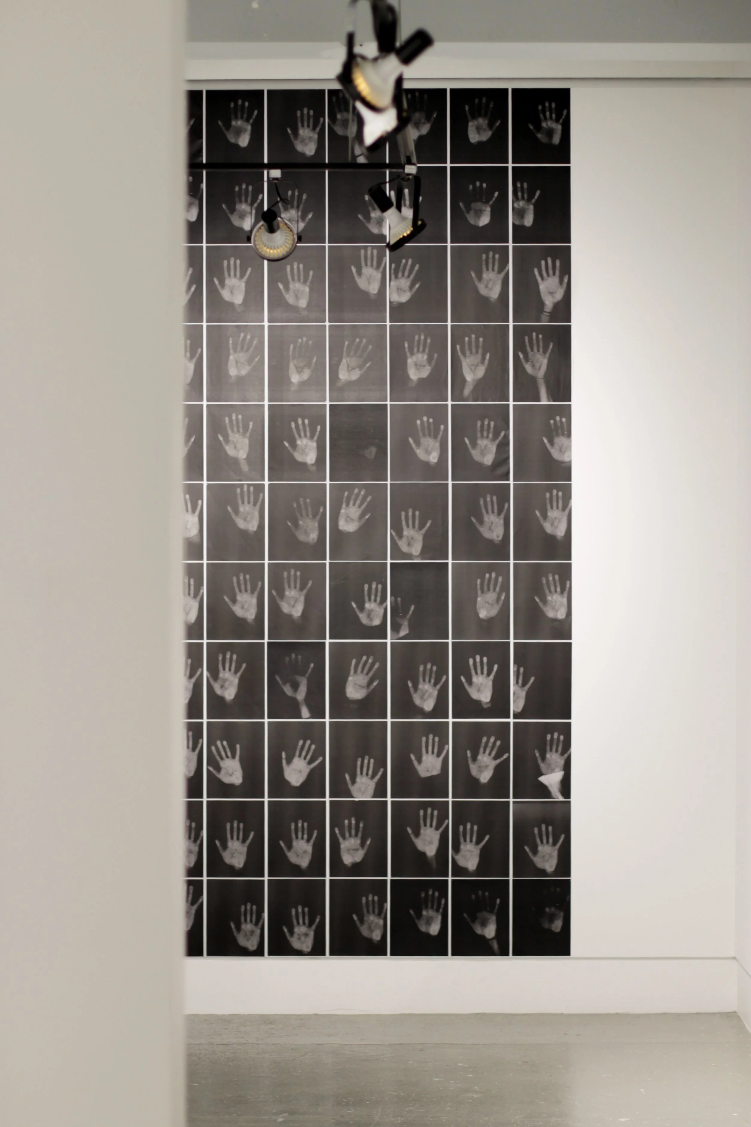 New_C_Count is Correct-16.jpg