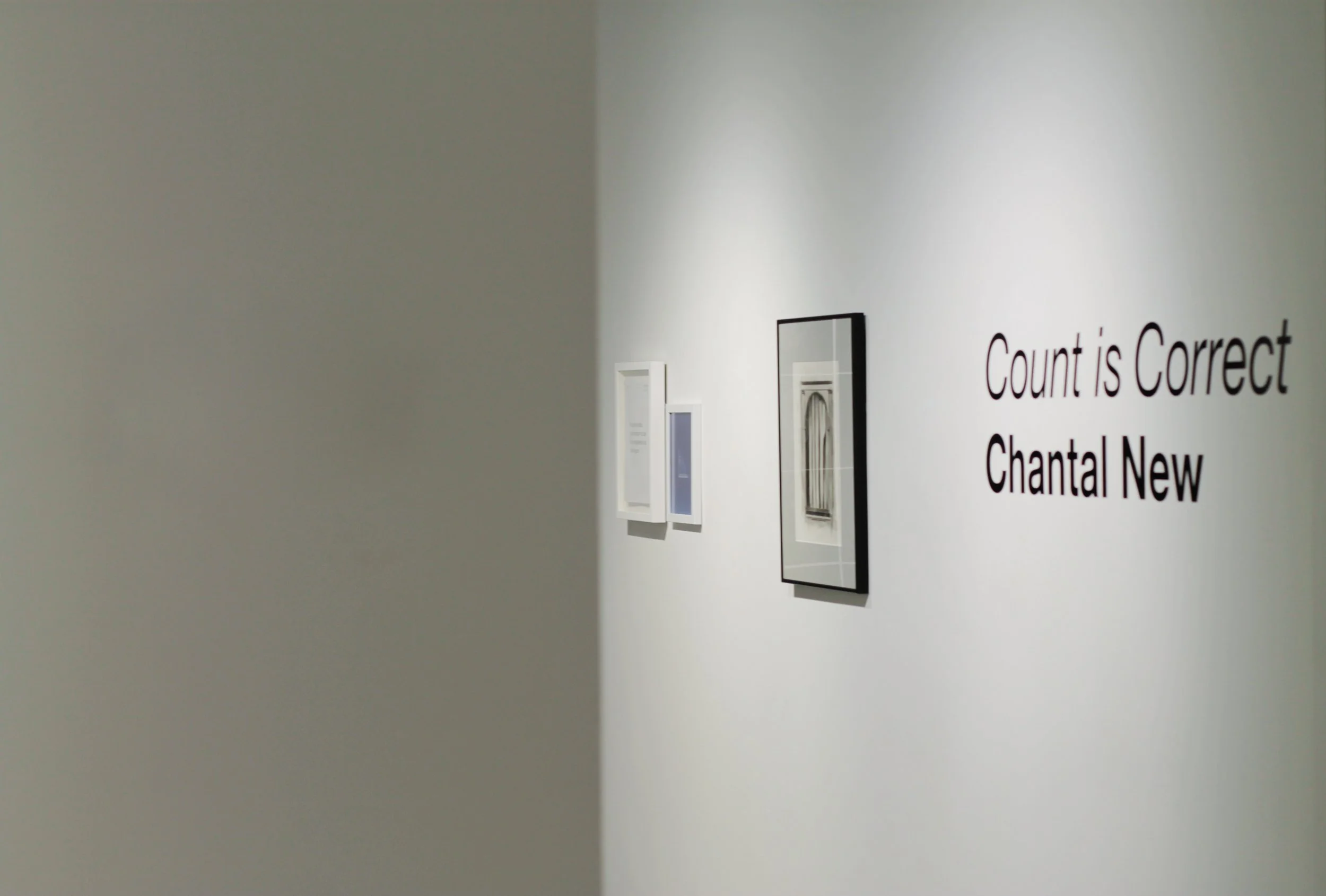 New_C_Count is Correct-19.jpg