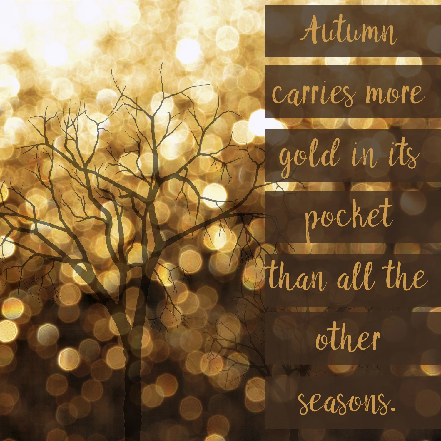 HH Autumn.jpg