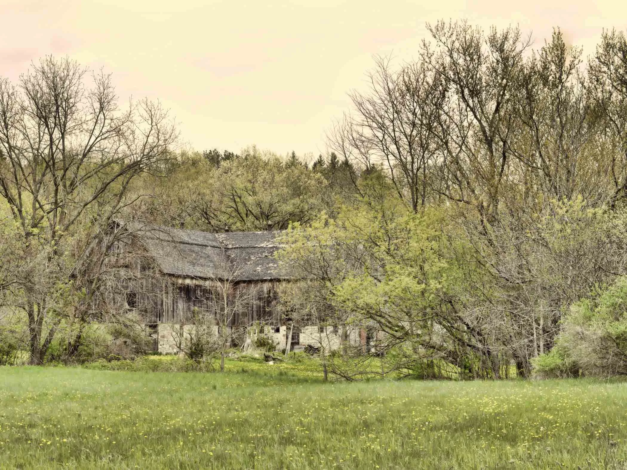 Forgotten Barn