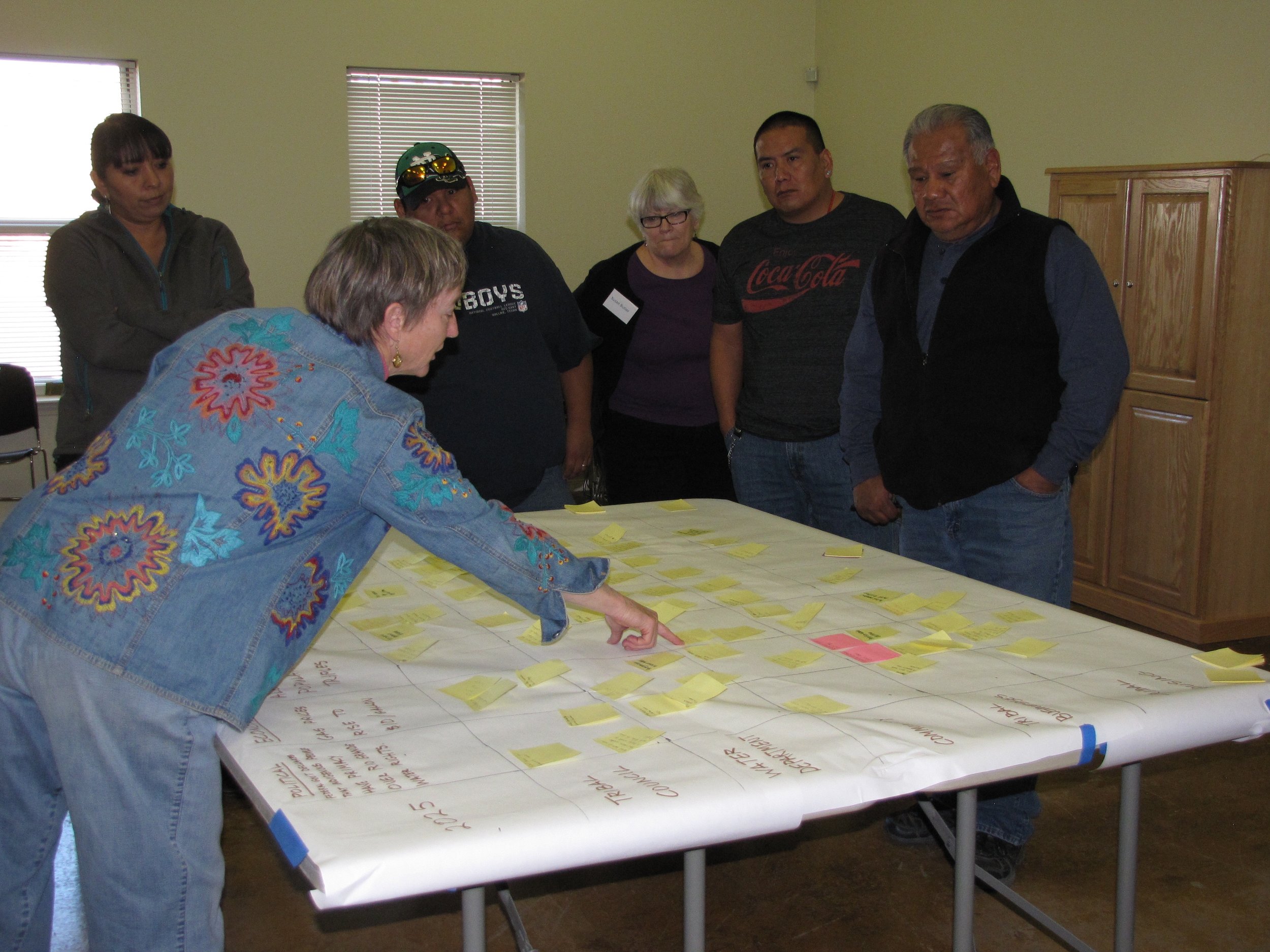 Developing Climate Resilience with Systemic Tools