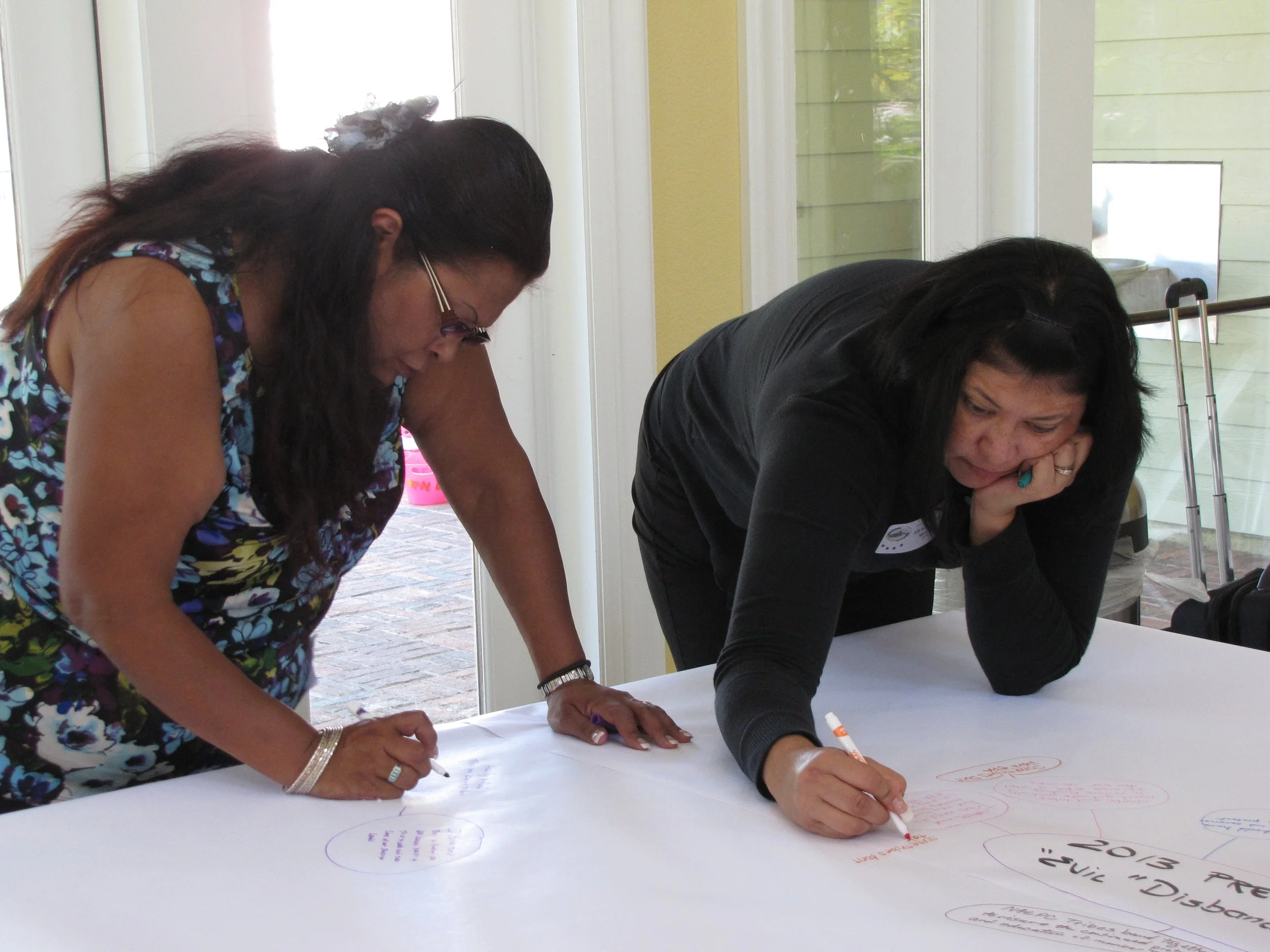 Native American - Developing Nat Am Enviro Protection  Coalition's strategic plan 1.jpg
