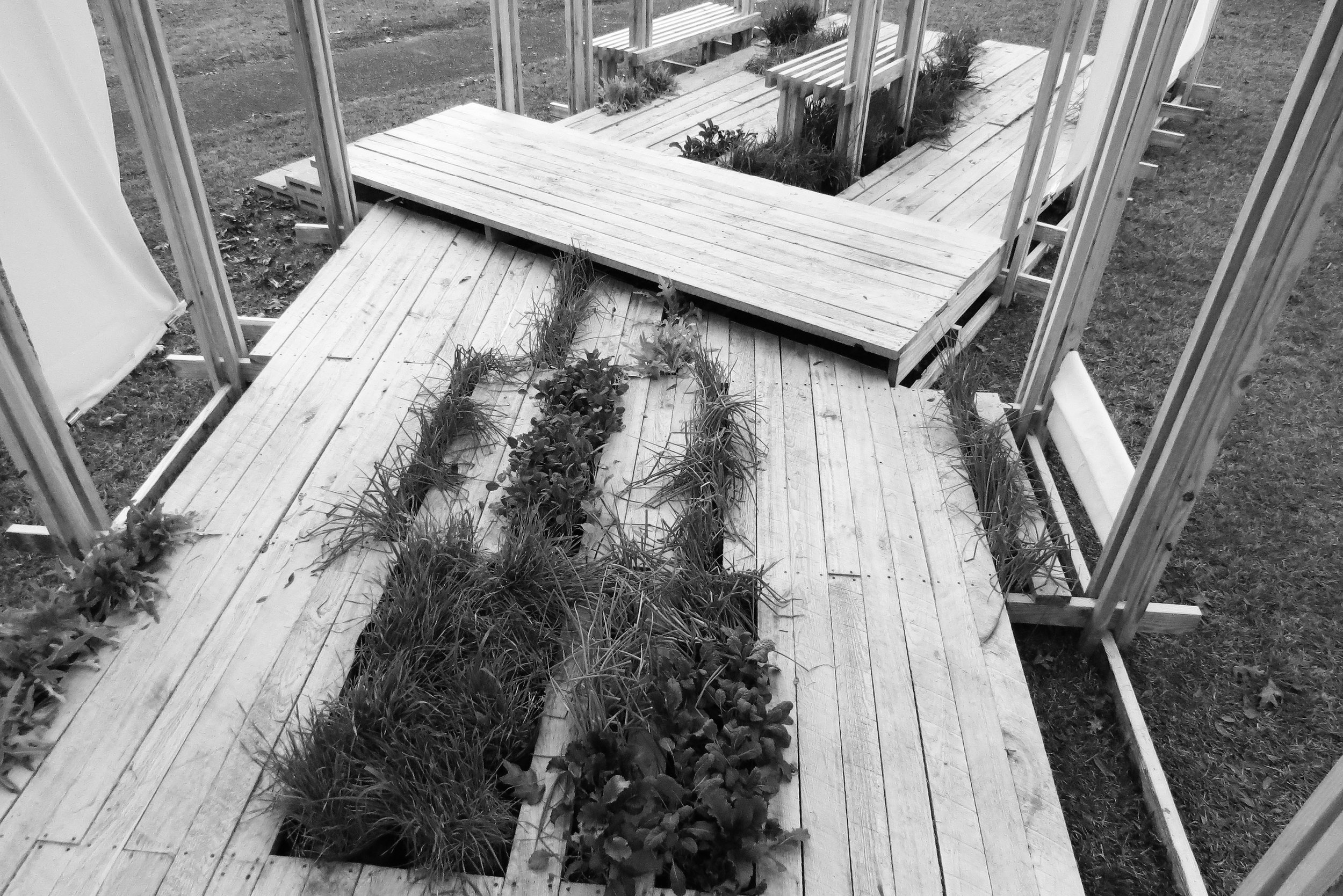 Images for Site6.jpg