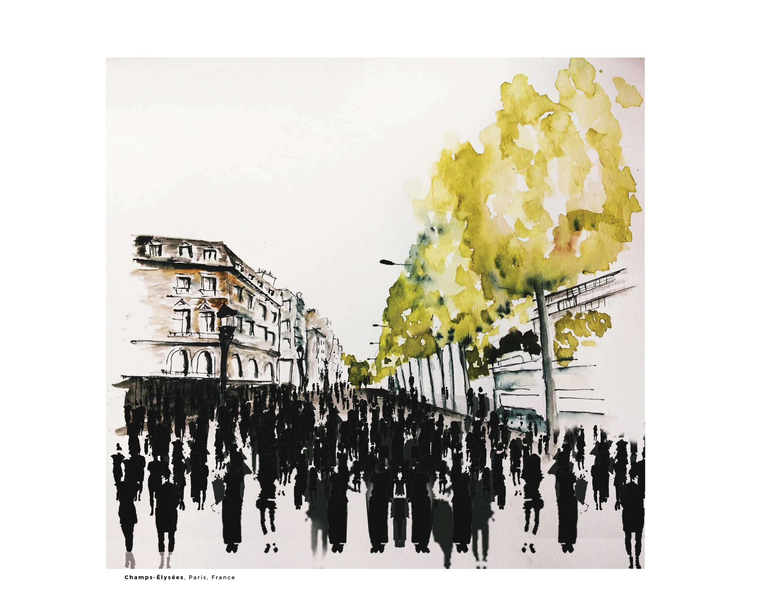 Watercolors2.jpg