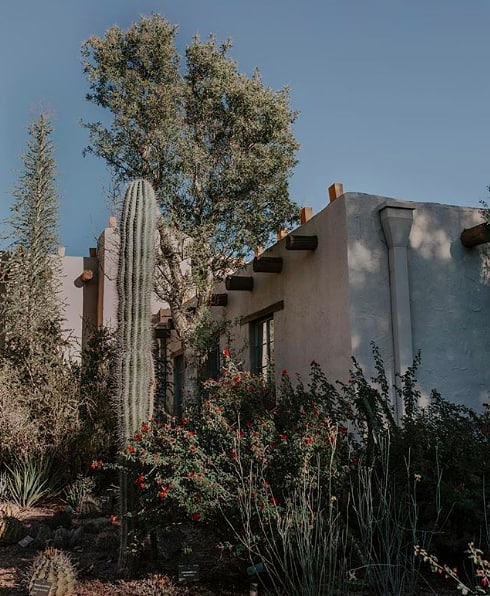 Quiet mornings captured by&nbsp;@mwaring. 🌵