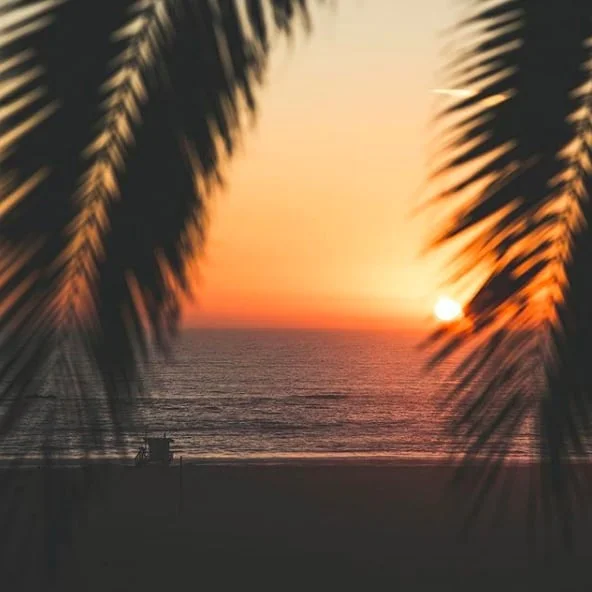 Stunning views of the California coast. 🌴
(pc:&nbsp;@benricardphotography)