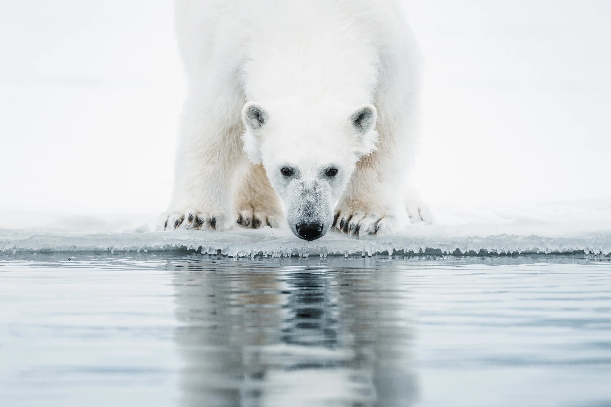 benjamin-hardman-iceland-benjamin-hardman-iceland-BH_07889-Edit.jpg