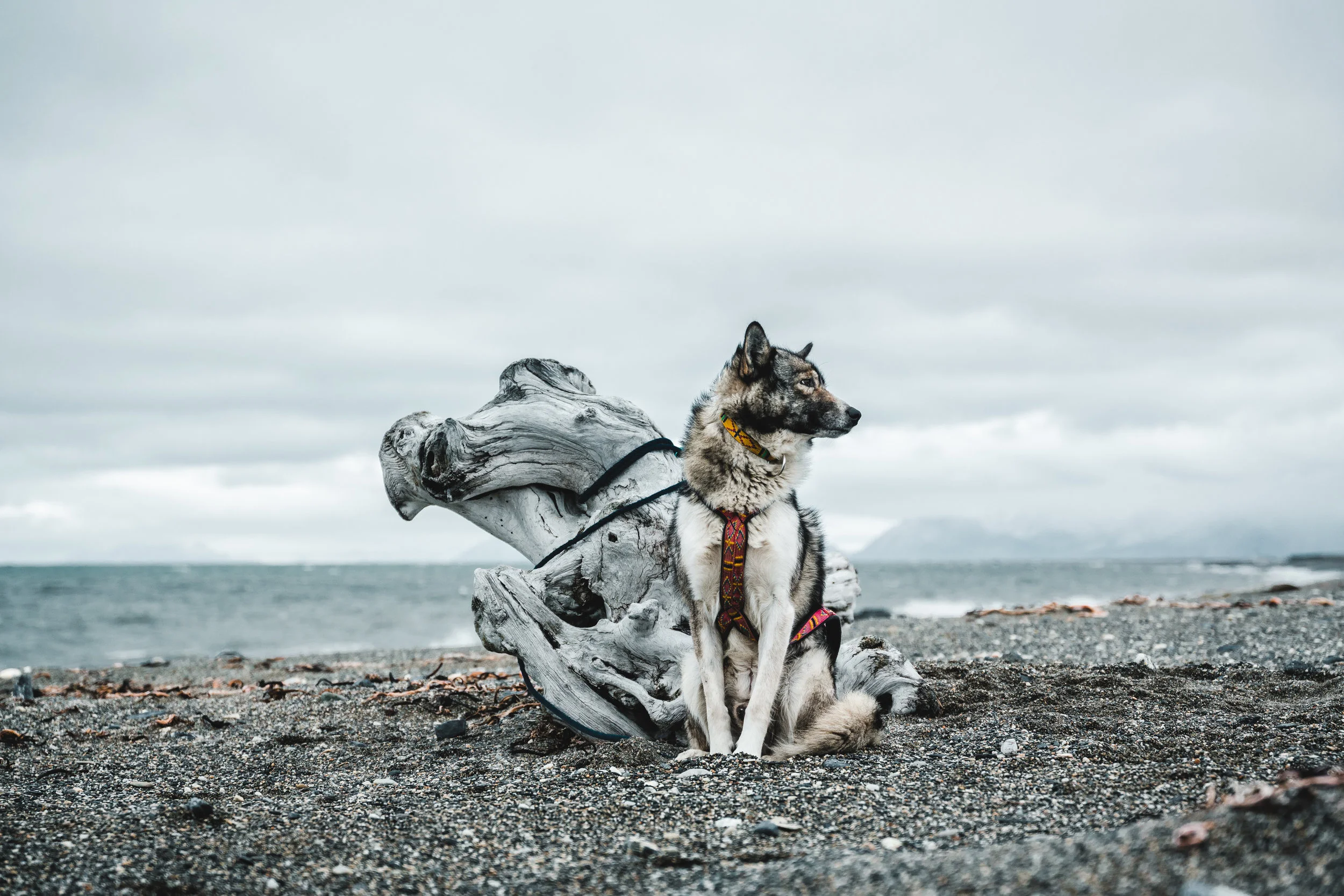 benjamin-hardman-iceland-BH_00260.jpg